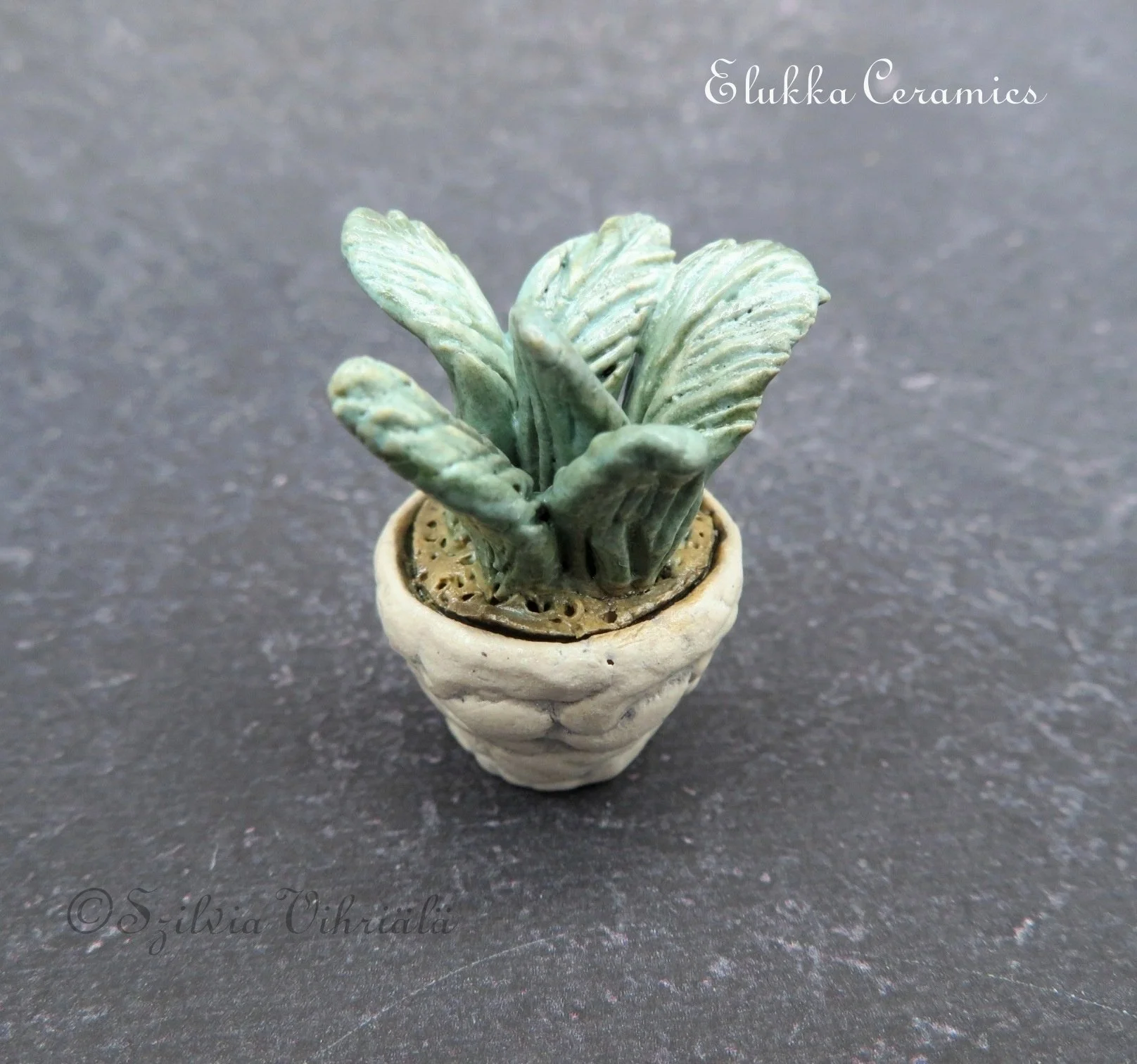 Tiny Bloom™ Series  by elukka...Collectible Miniature Silver Green Palm Tree in White Pot