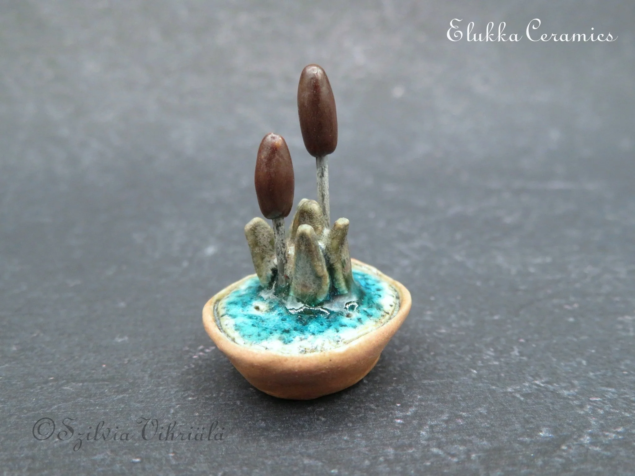 Tiny Bloom™ Series by elukka...Miniature Water Plants in Bonsai Pot