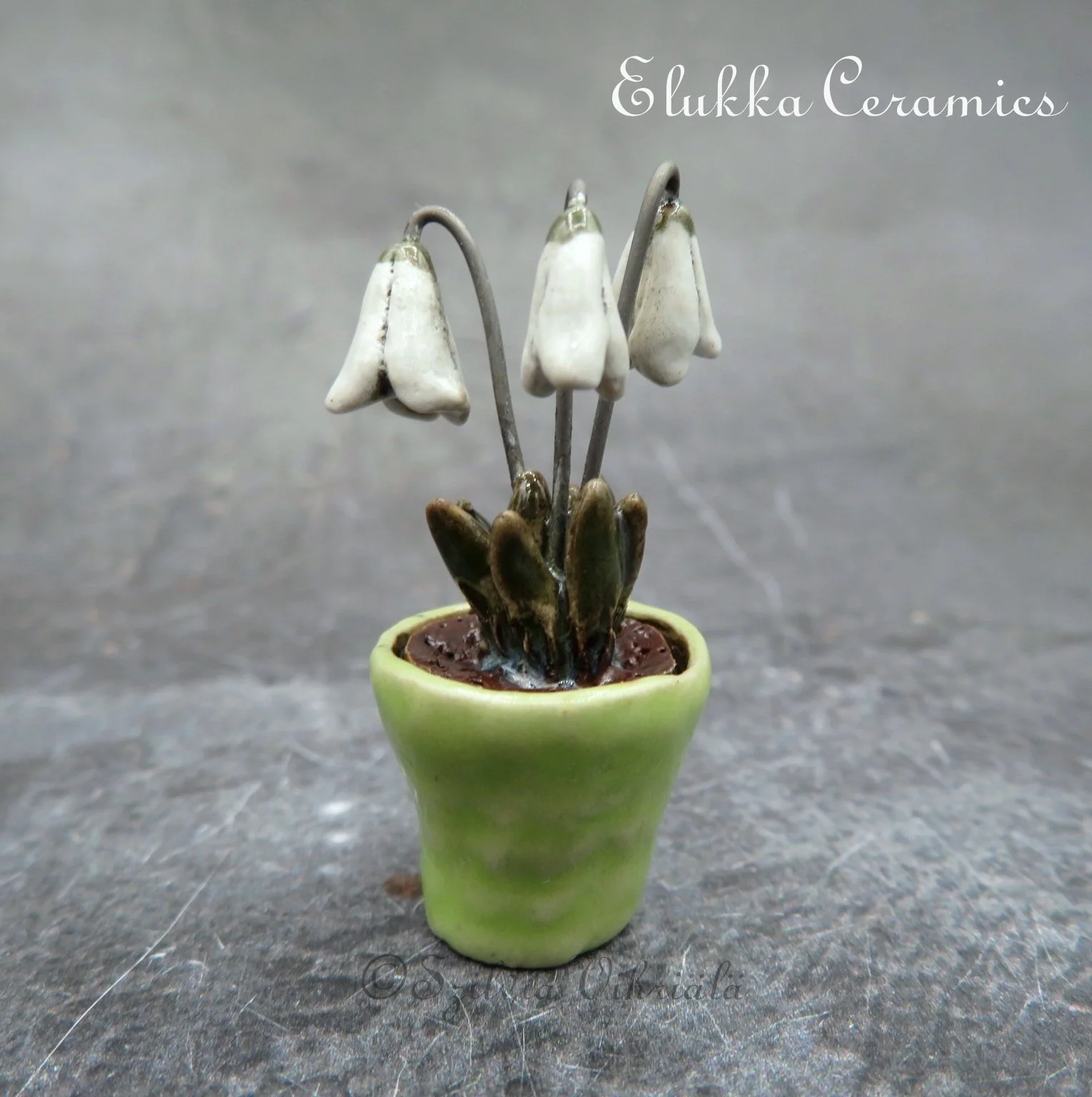 Collectible TINY Ceramic Bloom by elukka...SnowDrops in Lime Green Pot