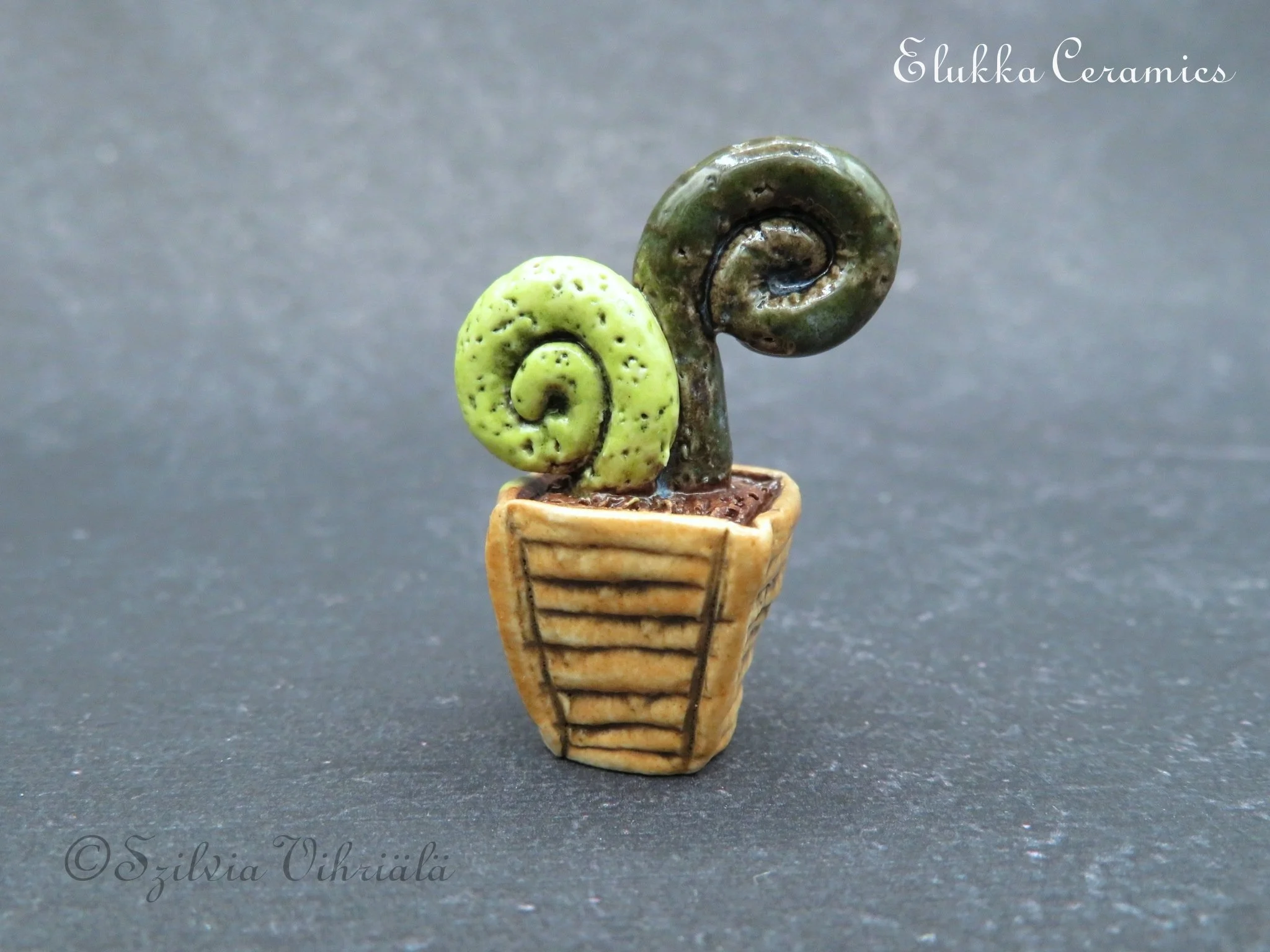 Tiny Bloom™ Series  by elukka...Collectible Miniature Topiary in Tan Flower Box