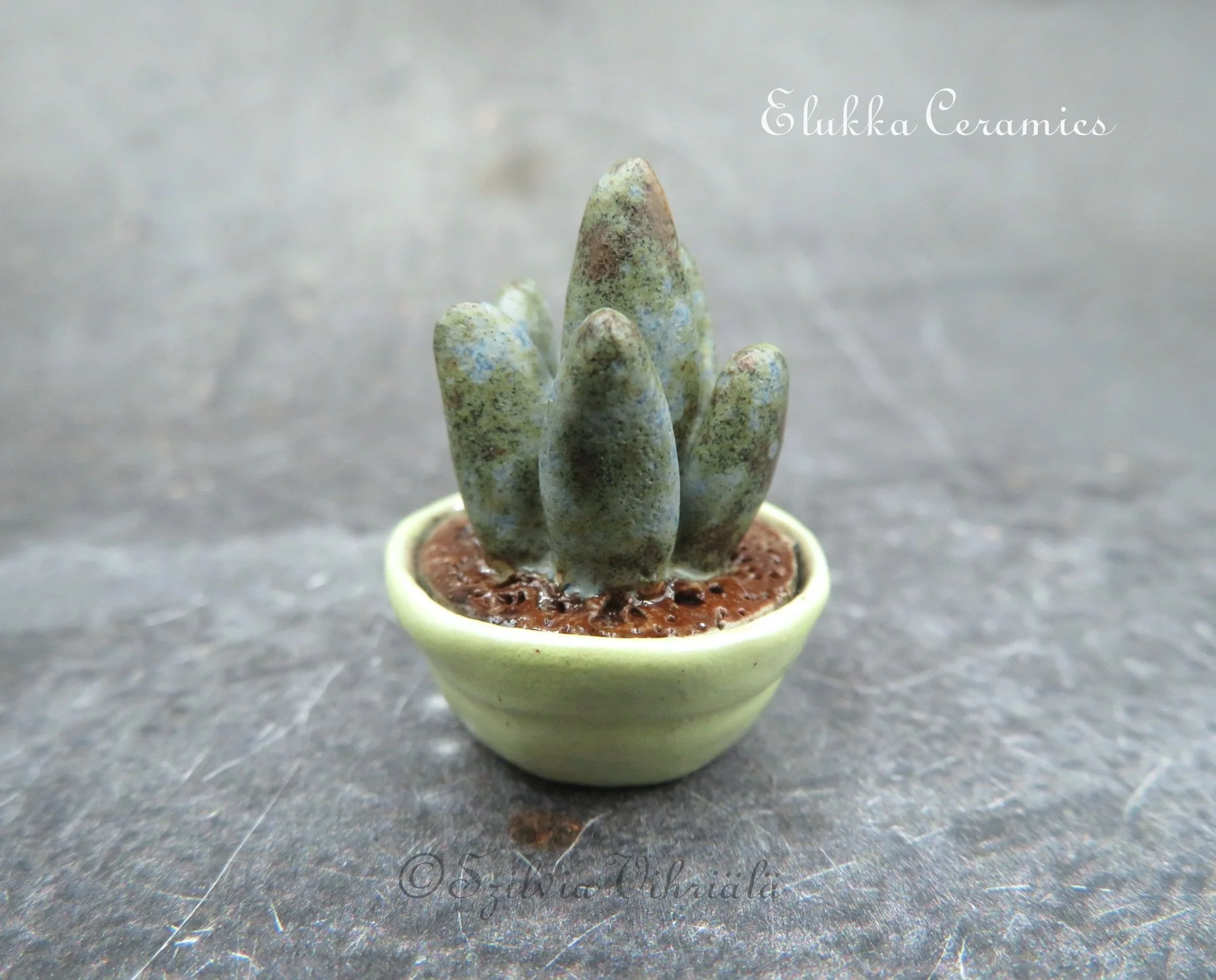 Collectible TINY Ceramic Plant by elukka...Miniature Snake Plant in Yellow Bonsai Pot