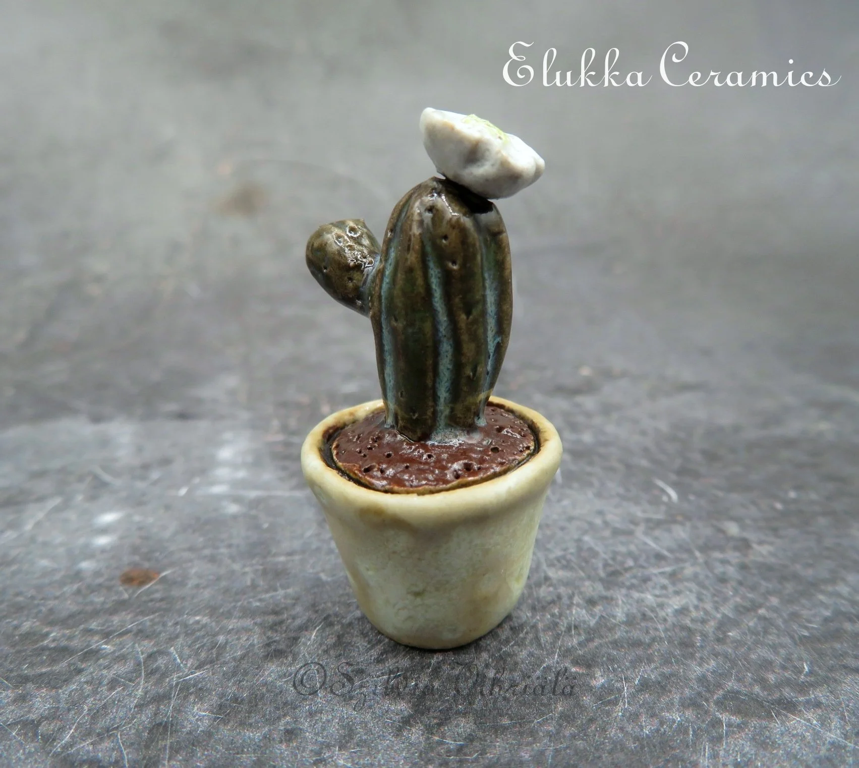 Collectible TINY Ceramic Bloom by elukka...Blooming Cactus in White Pot