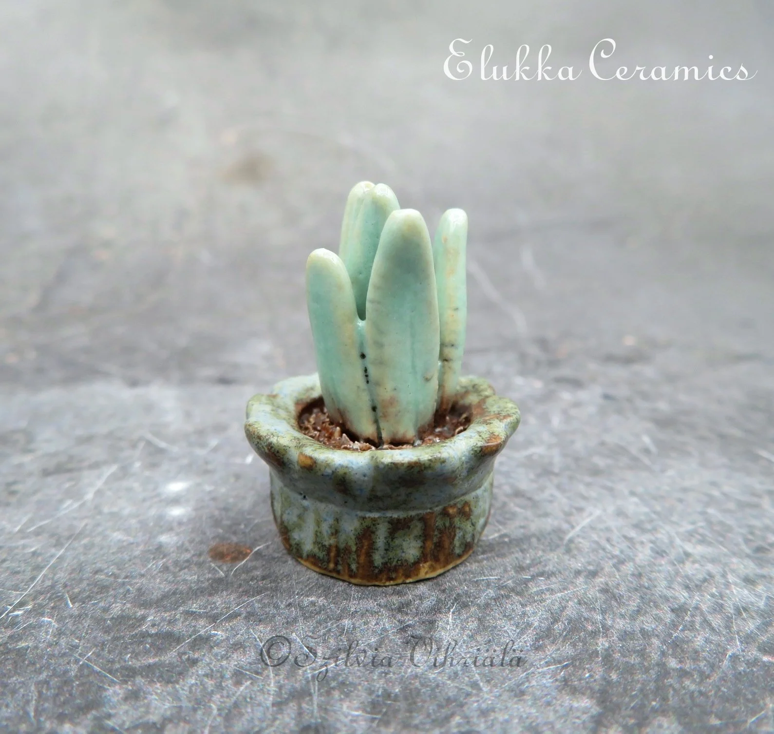 Collectible TINY Ceramic Bloom by elukka...Snake Plant in Weathered Pot