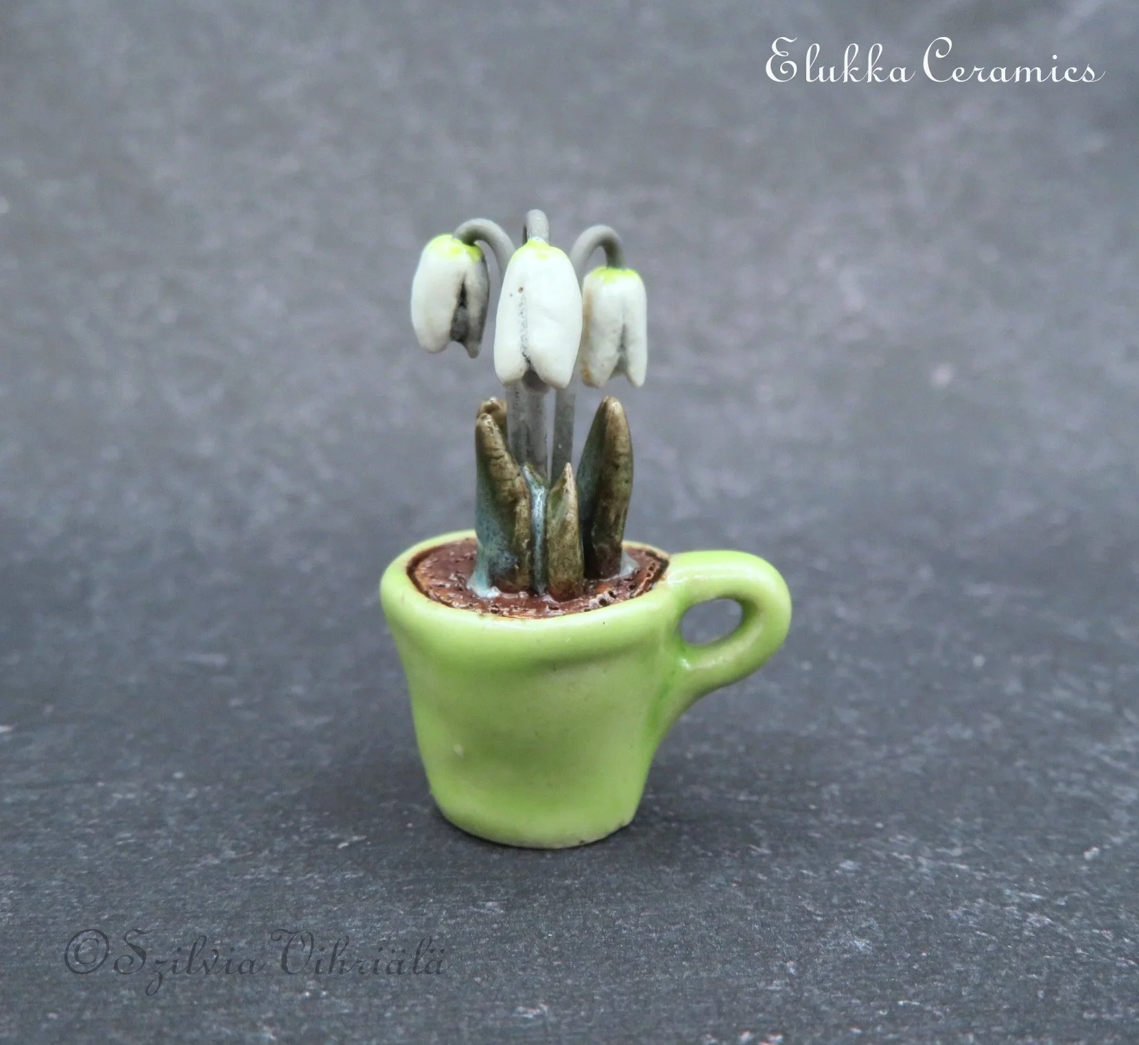 Tiny Bloom™ Series by elukka...Miniature SnowDrops in Green Cup