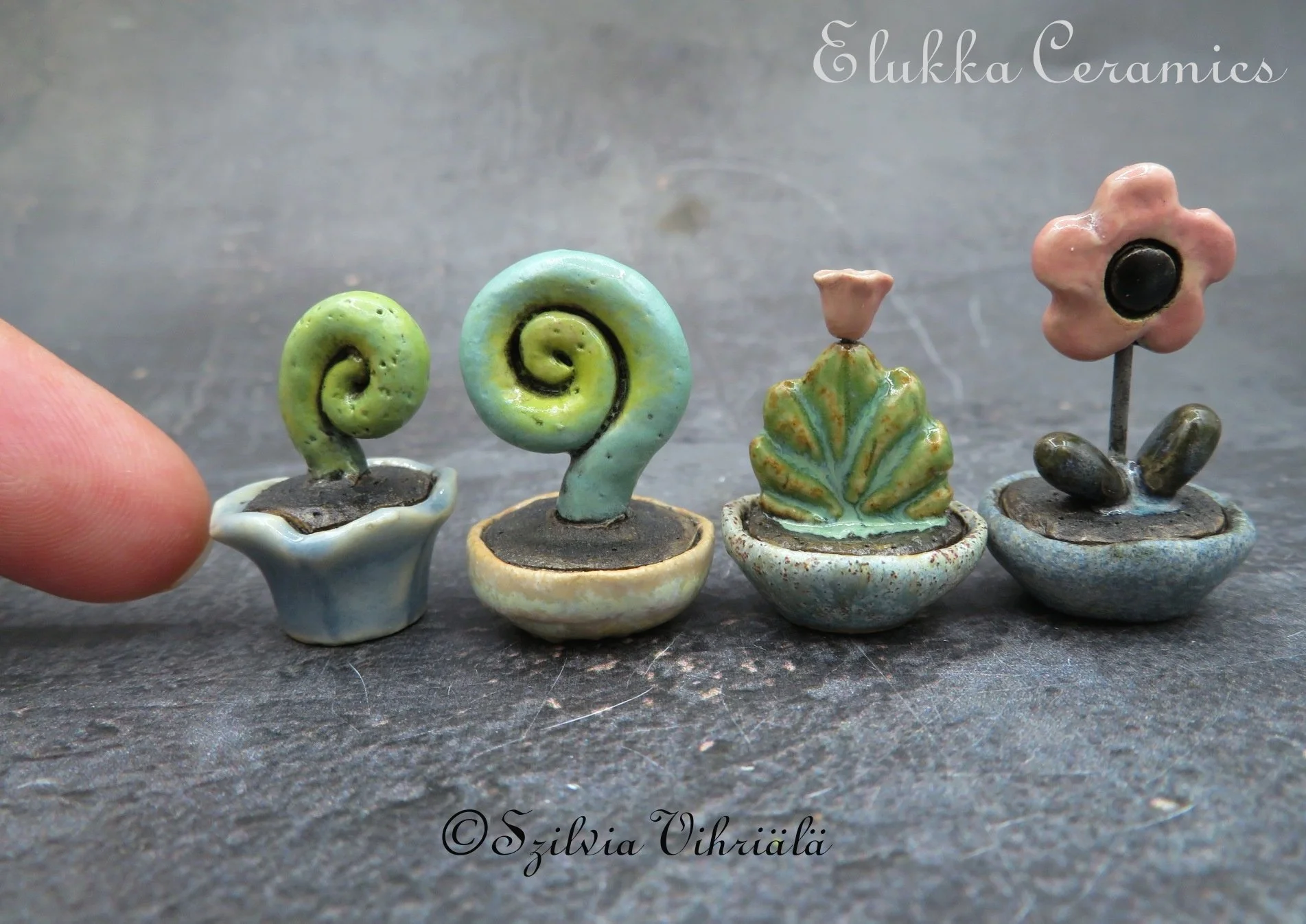 IMG_5046.JPG (Copy) (Copy)