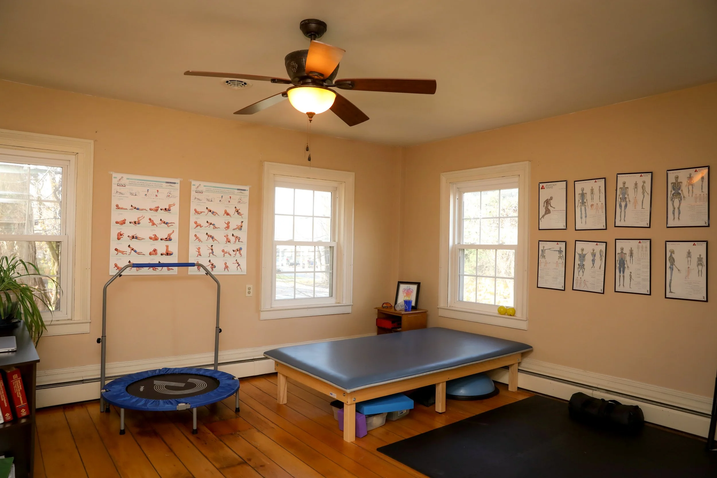 A room with a ceiling fan, two windows, posters of exercises and anatomy diagrams on the walls, a trampoline, a treatment table, a small table, some exercise balls, and a black mat on the wooden floor.