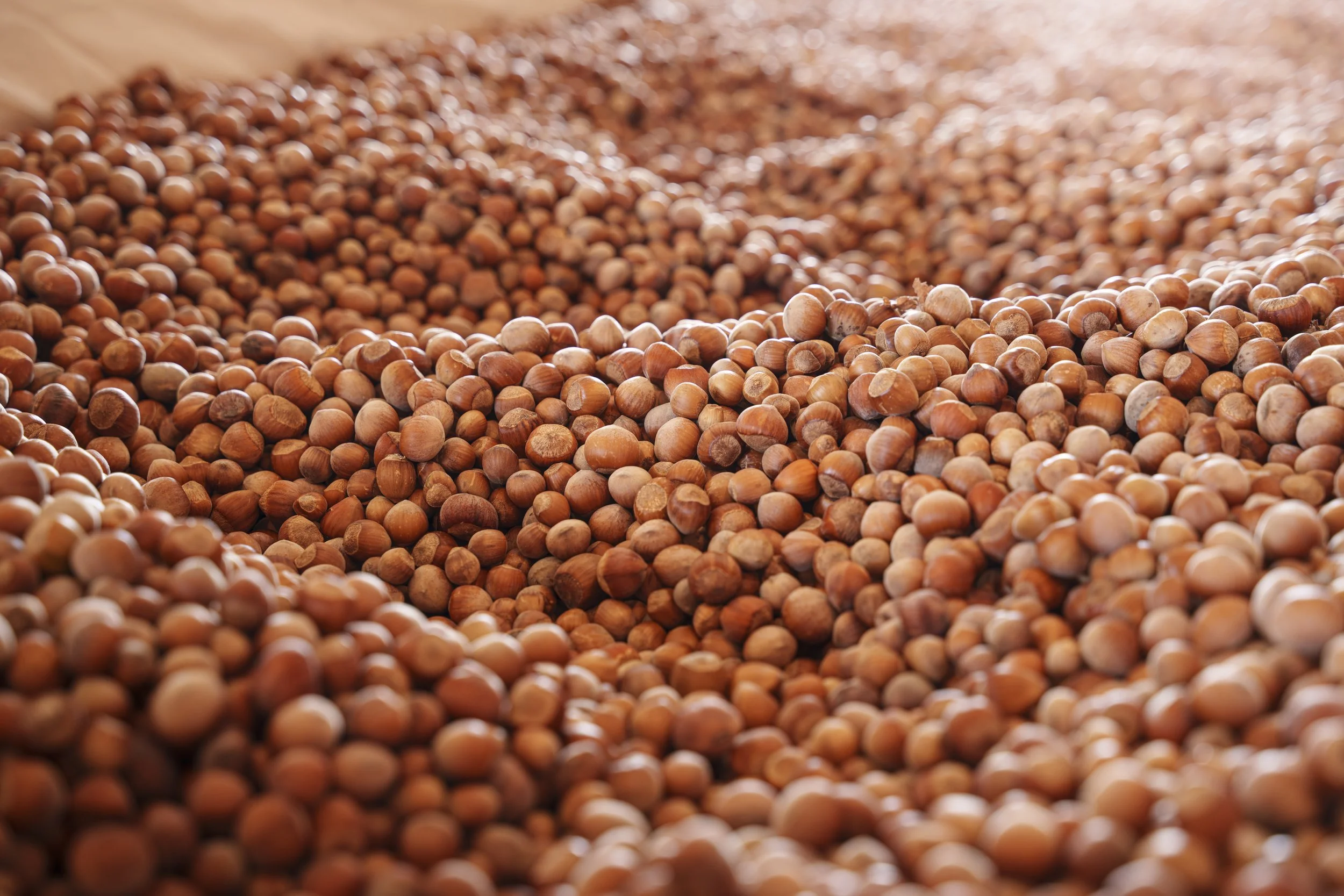 Close-up of hazelnuts scattered in a pile.