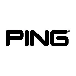 PING logo
