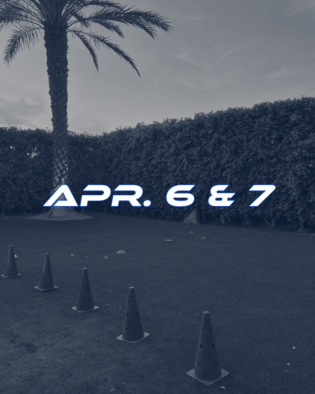 Untitled-2 (2) copy.png