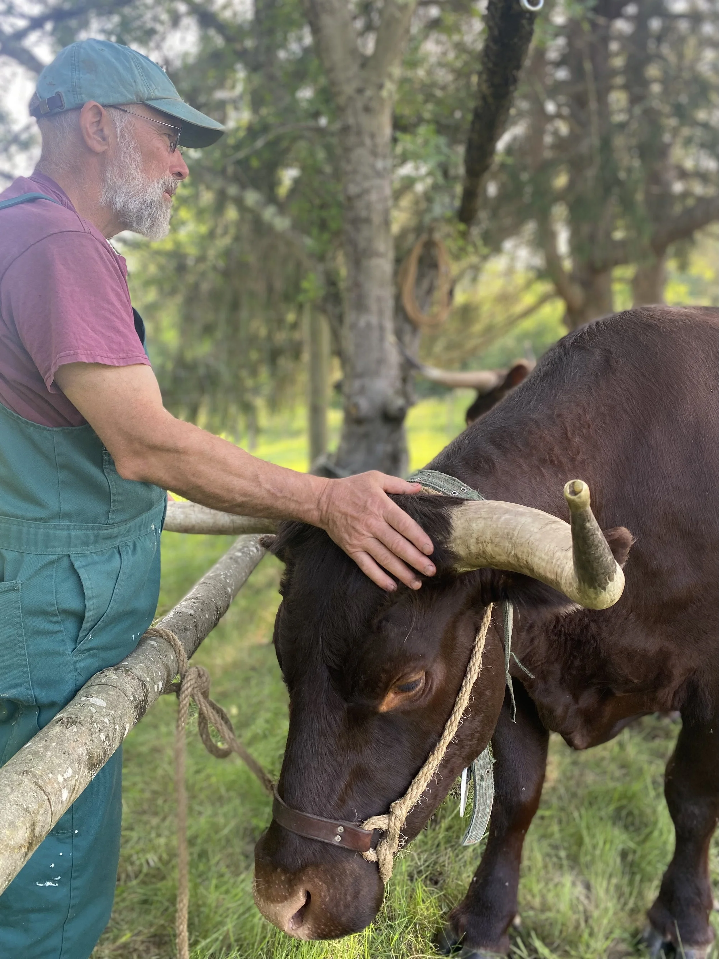 IMG_3334 2.52.46 PM.jpeg