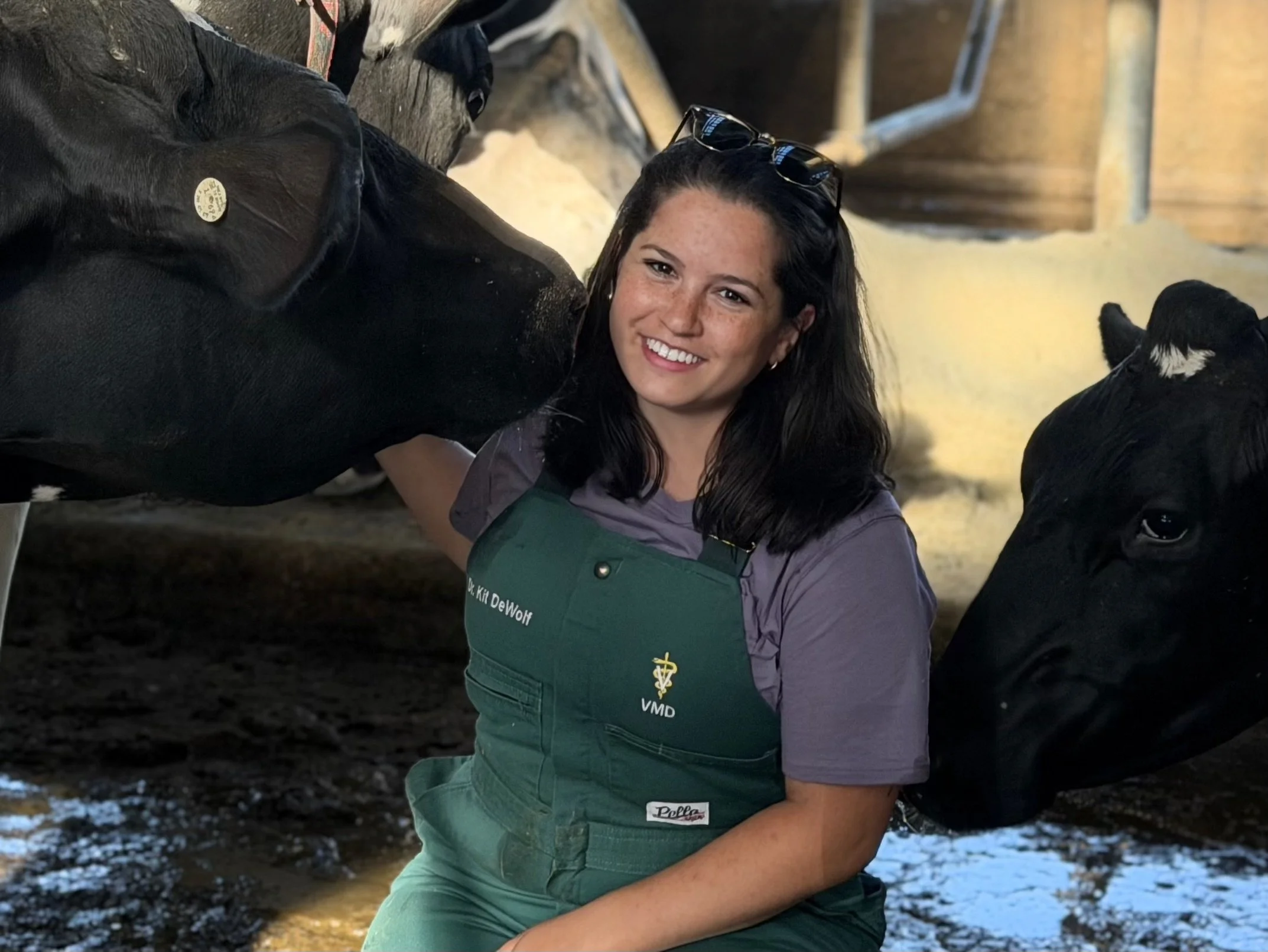 Woman in sunglasses sitting inside a black veterinary truck with the sign 'Green Mountain Bovine & Equine Clinic Veterinary Services', two goats standing on the truck's hood, one on the roof, in an outdoor rural setting with trees and blue sky.
