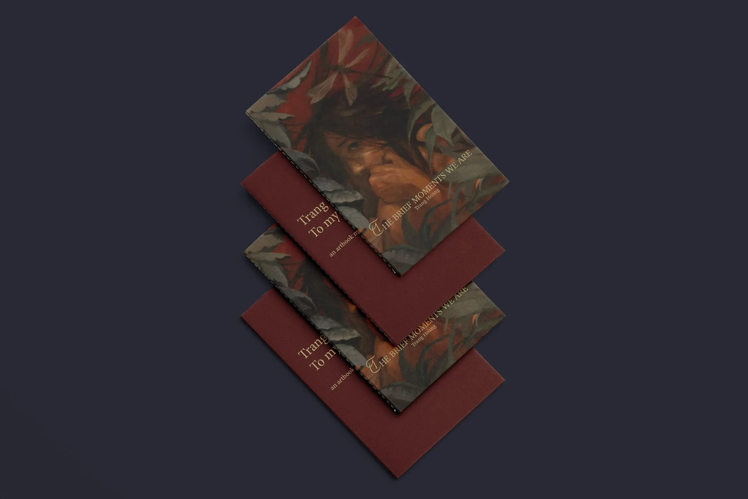 The Brief Moments We Are - Booklet