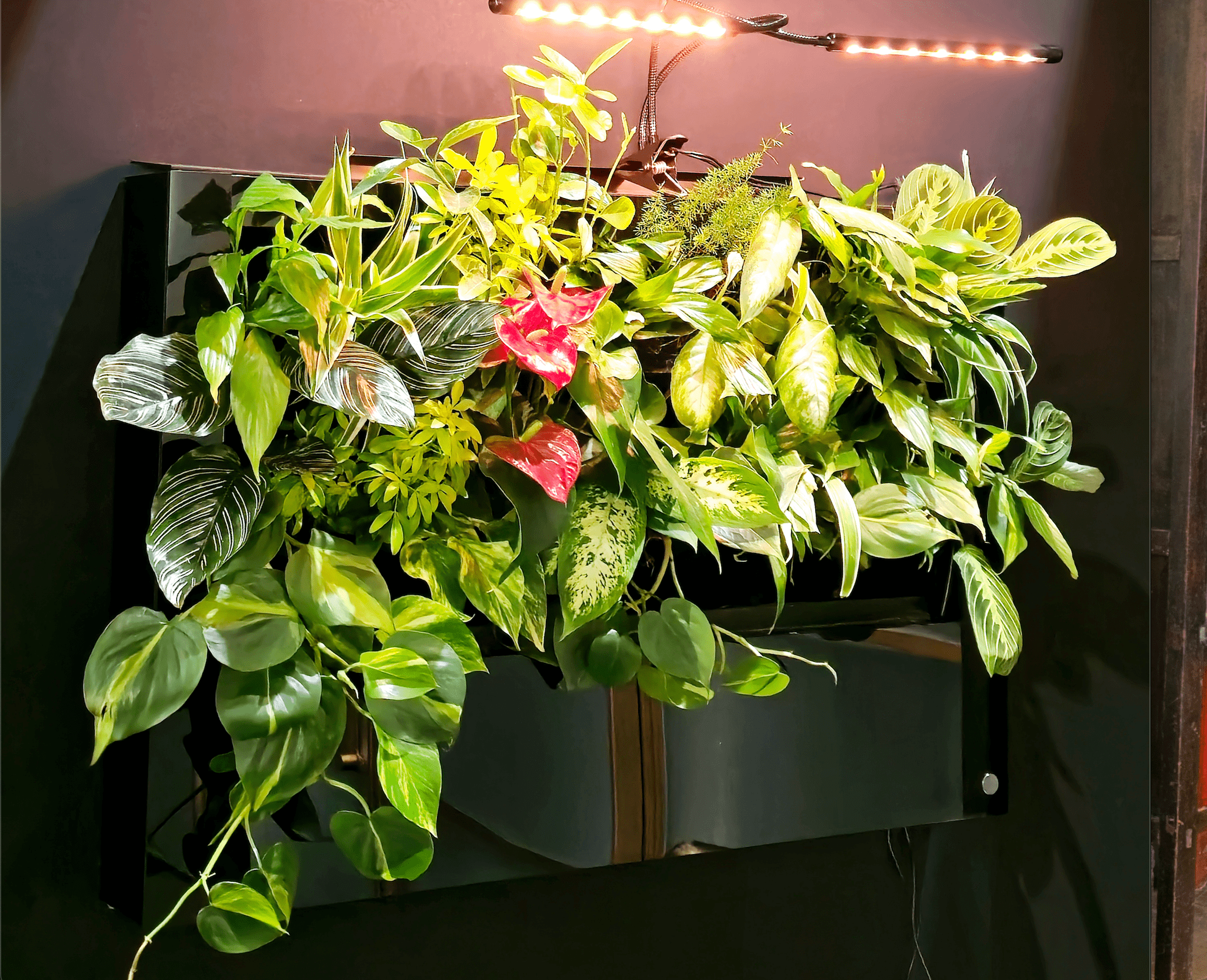 A cozy sectional sofa covered with a beige, brown, gray, and cream textured throw blanket with fringed edges. The sofa has matching pillows with similar textured patterns, set against a plain wall with beige curtains on each side.
