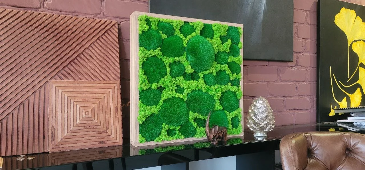 View from a window overlooking a garden with hanging potted plant, green trees, and a cat lying in the grass.