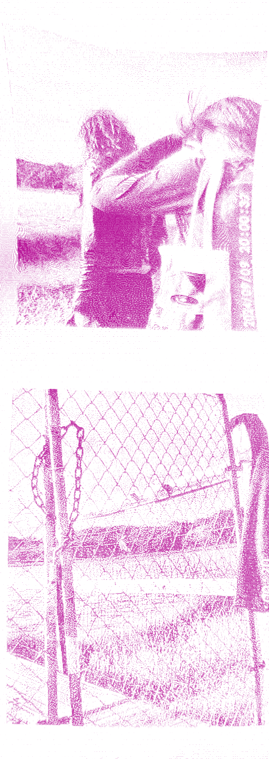 thermal photo, scanned