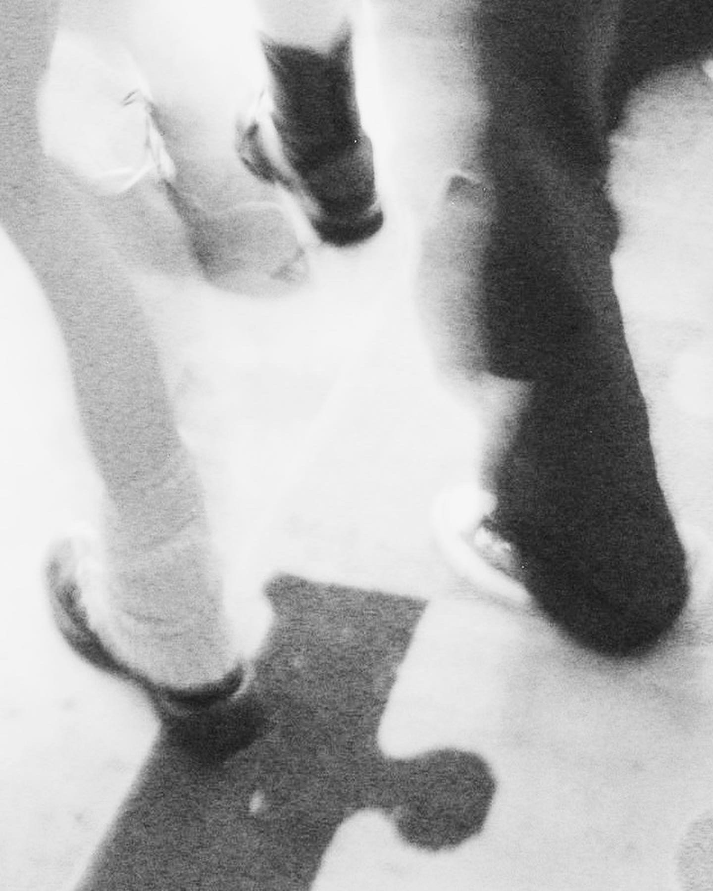 FD8F5987-72A1-4FBA-ADBE-61F033217C21.png