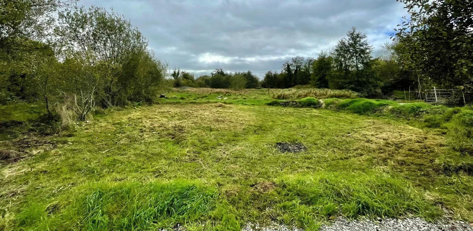 The Dance space.jpeg