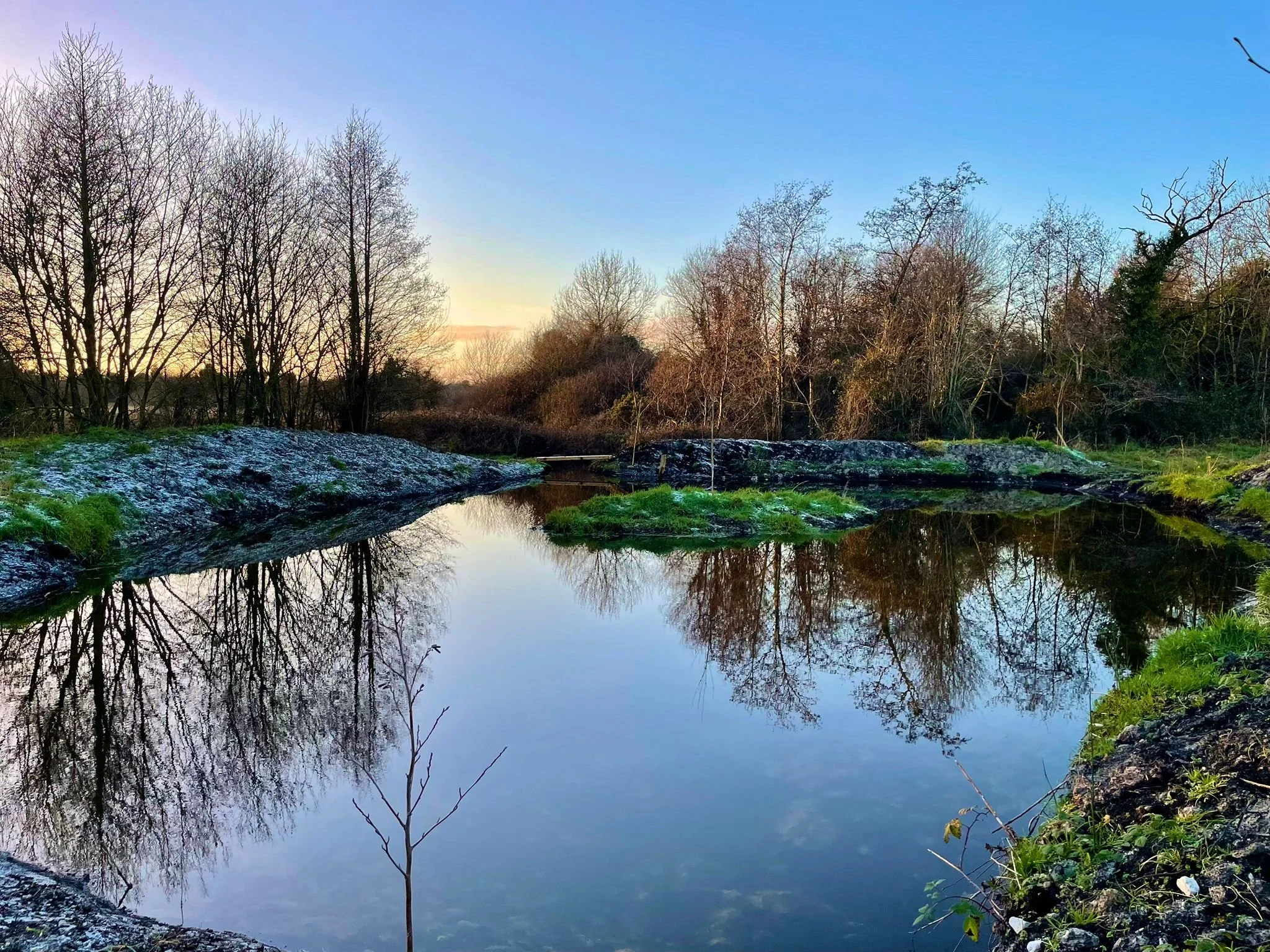 Winter pond crisp.jpeg