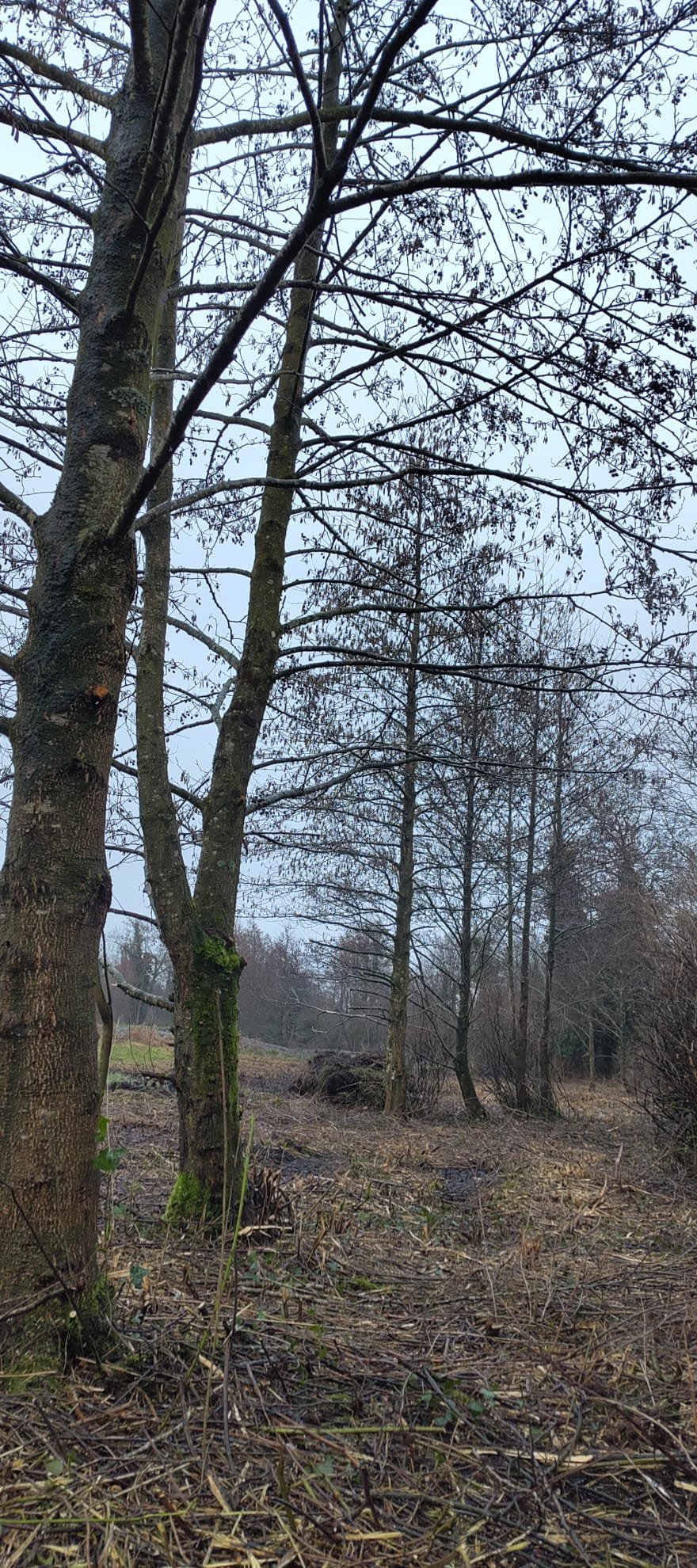 WhatsApp Image 2026-03-01 at 19.50.26.jpeg