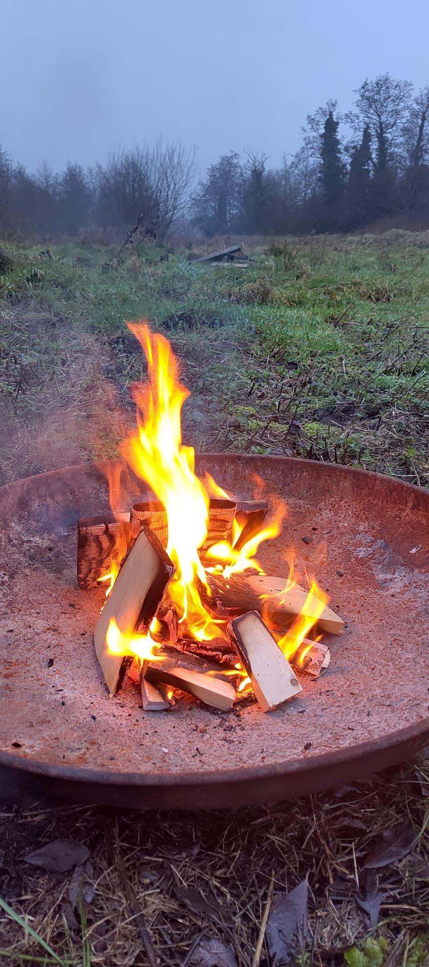 WhatsApp Image 2026-03-01 at 19.50.28.jpeg