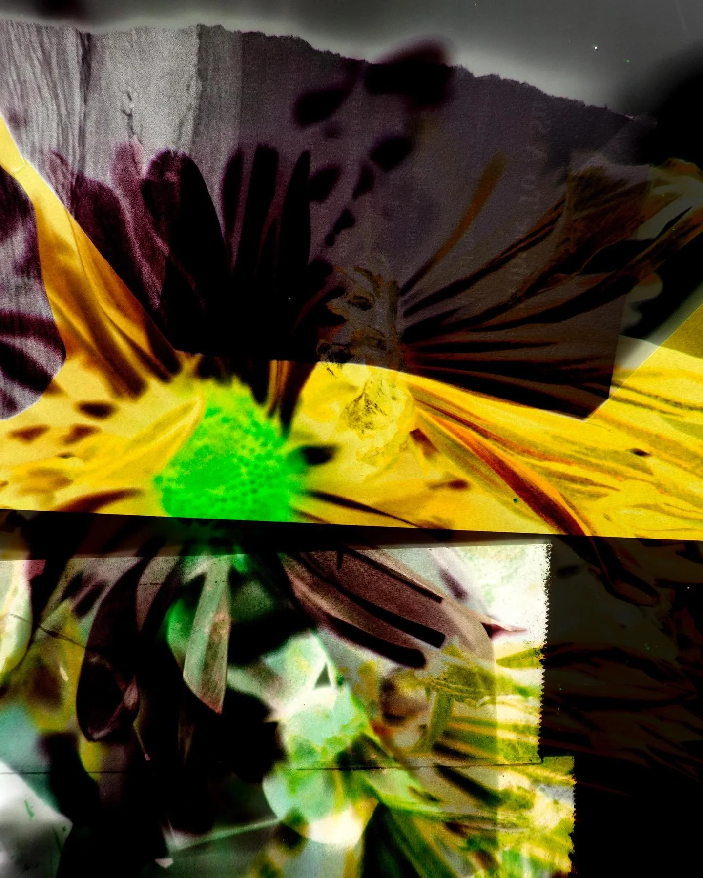 mixed media series call &ldquo;Botanica&rdquo; made from handmade textures, old flowers and magazine scraps

-

-

-

#digital #digitalart #mixedmedia #art #artwork #fineart #abstractart #abstractpattern #design #graphicdesign #pattern #patterndesign