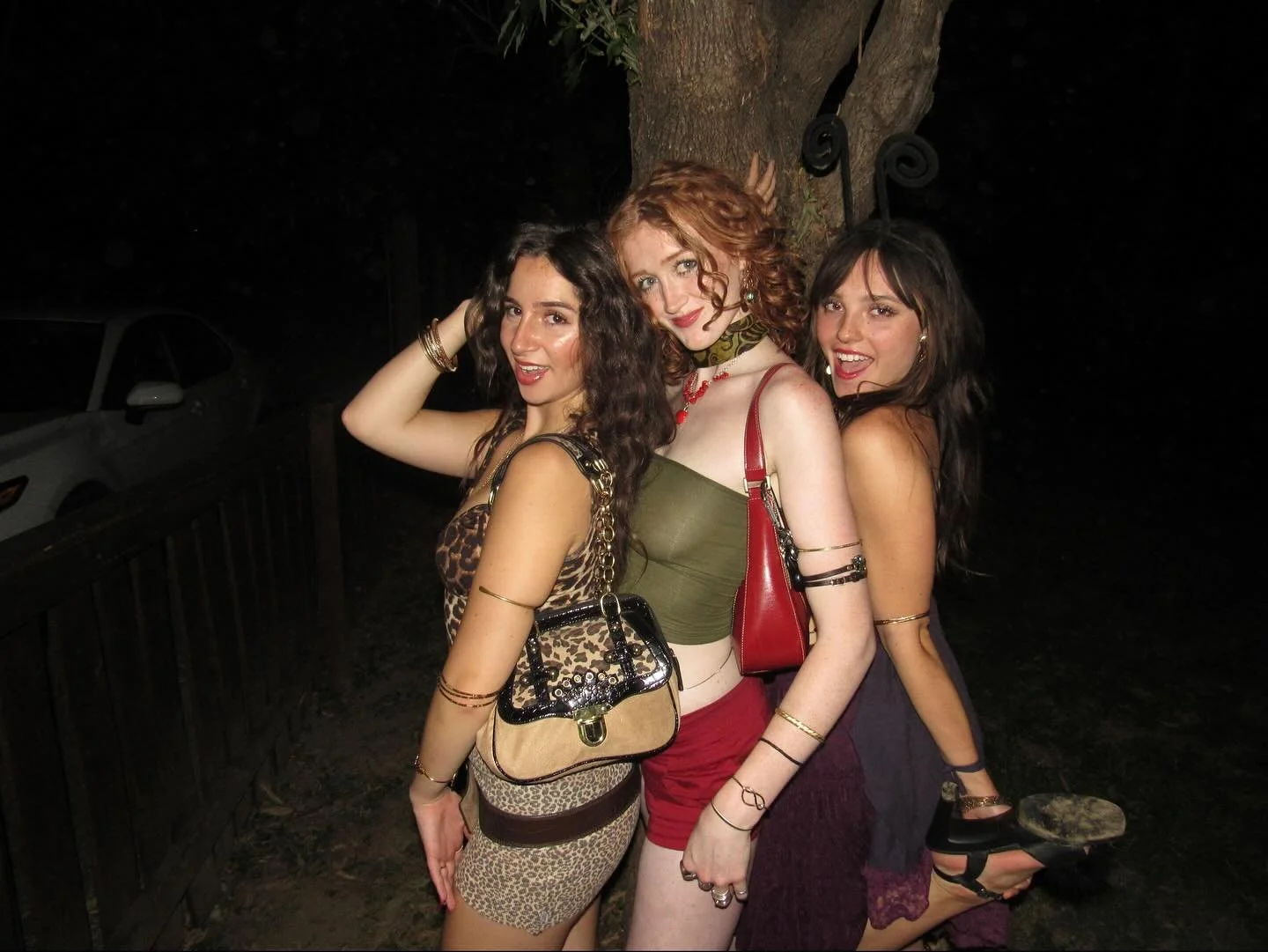 this post is the only ethical way to see zoo animals