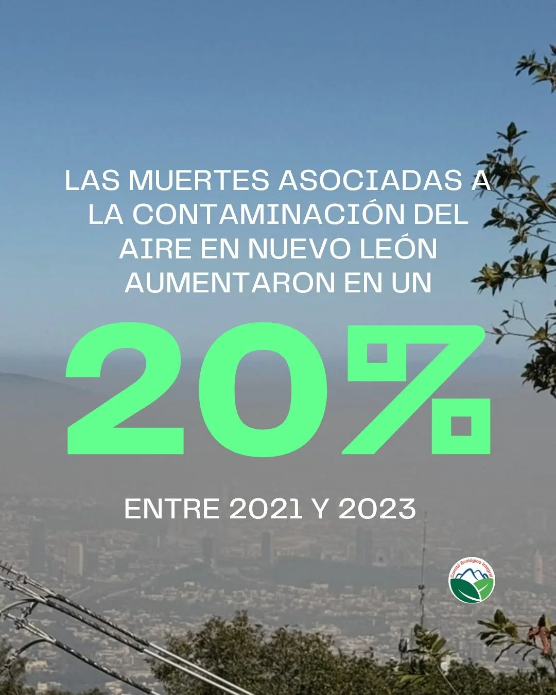 No podemos normalizar que morir por respirar sea parte de vivir en nuestro estado