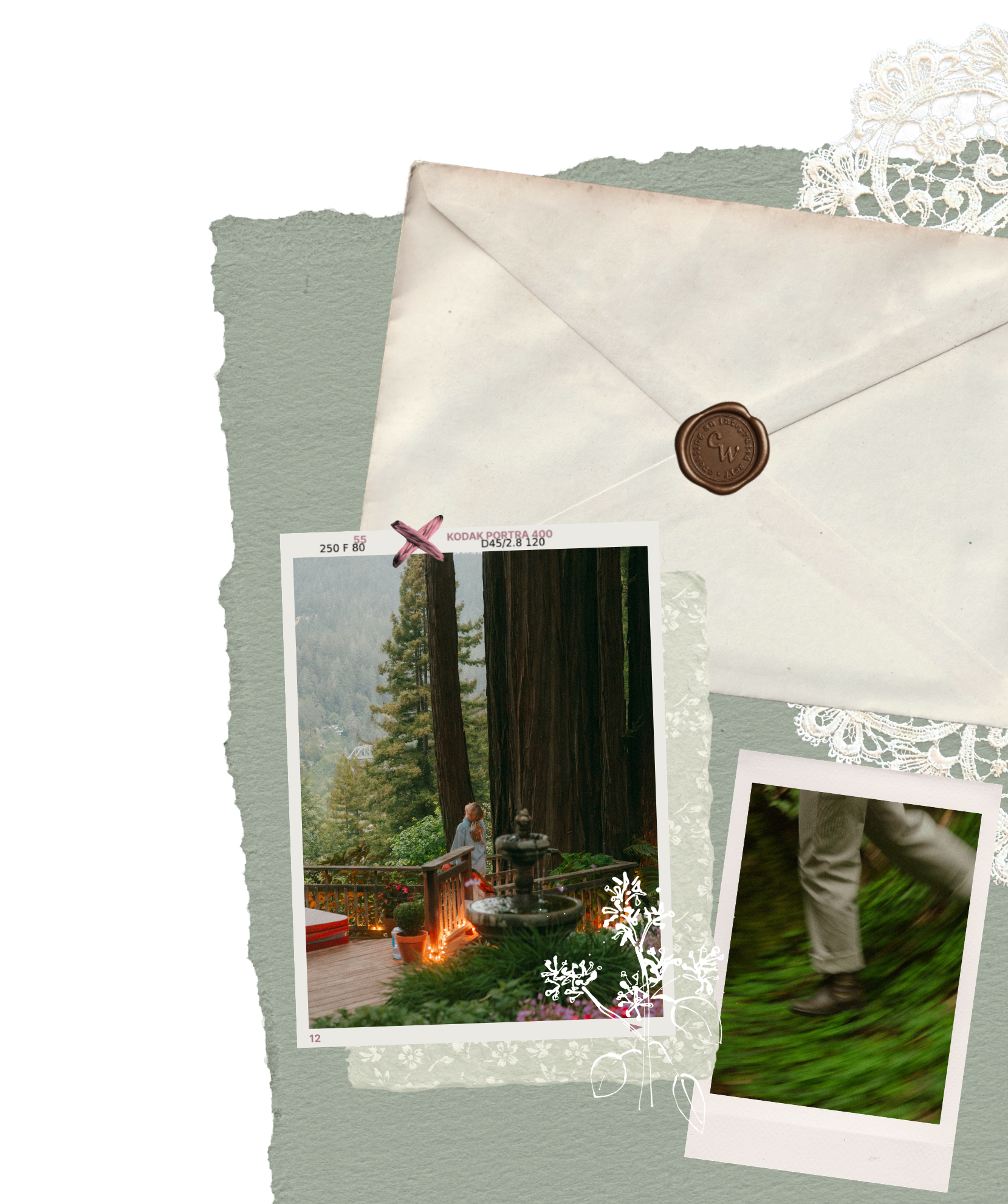 Cassie Weeden, IFS therapist and depth work specialist for adults, walking among redwoods in a vintage photo collage.
