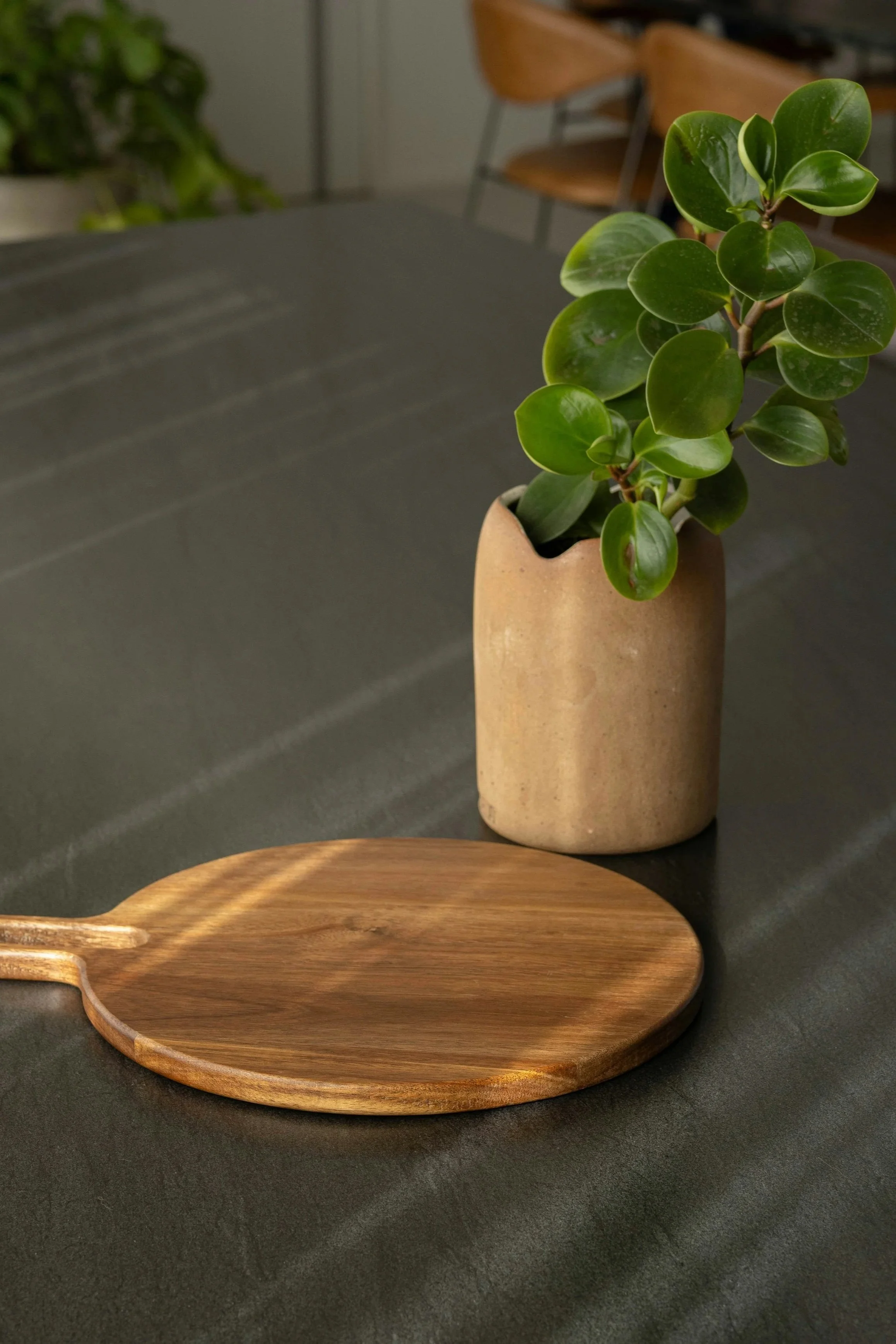 Une plante verte dans un vase en céramique beige sur une table sombre, avec une planche en bois à côté, dans un intérieur moderne chaleureux.