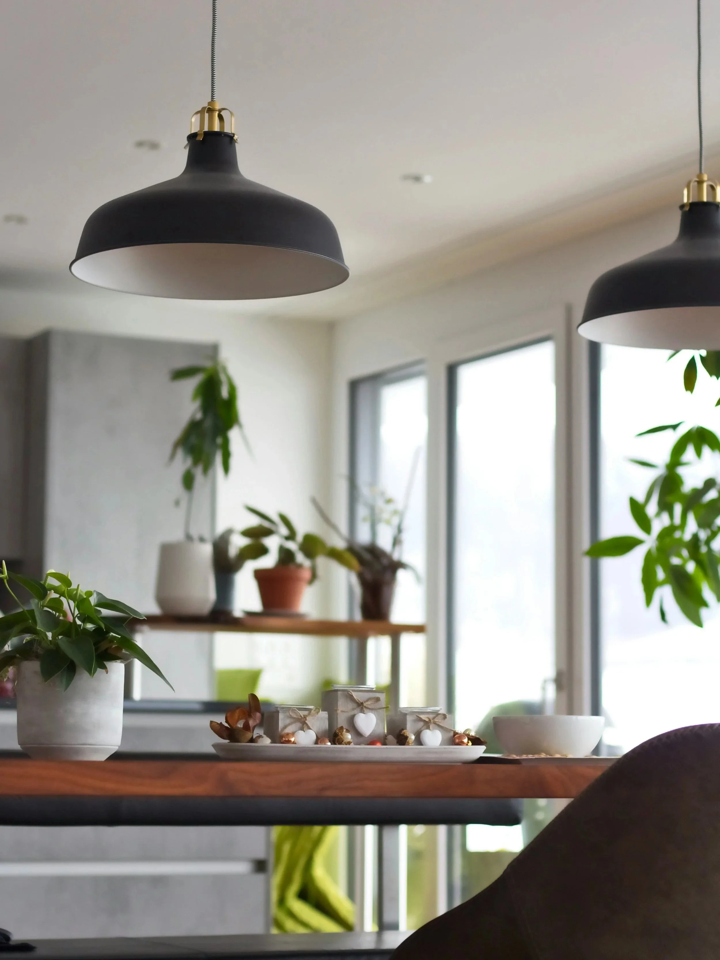 Intérieur moderne avec des lampes noires suspendues, plusieurs plantes en pot sur une table et une étagère, grande fenêtre laissant entrer la lumière naturelle.