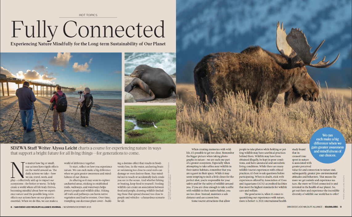 SDZWA Journal Nov.Dec 23.PNG