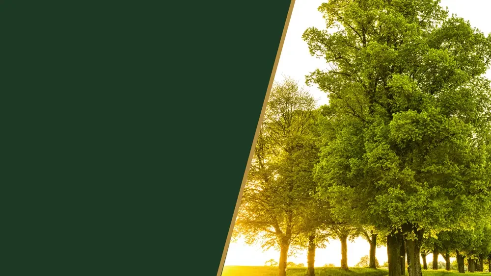 Chadwick Estate Law — Main Line Estate Planning