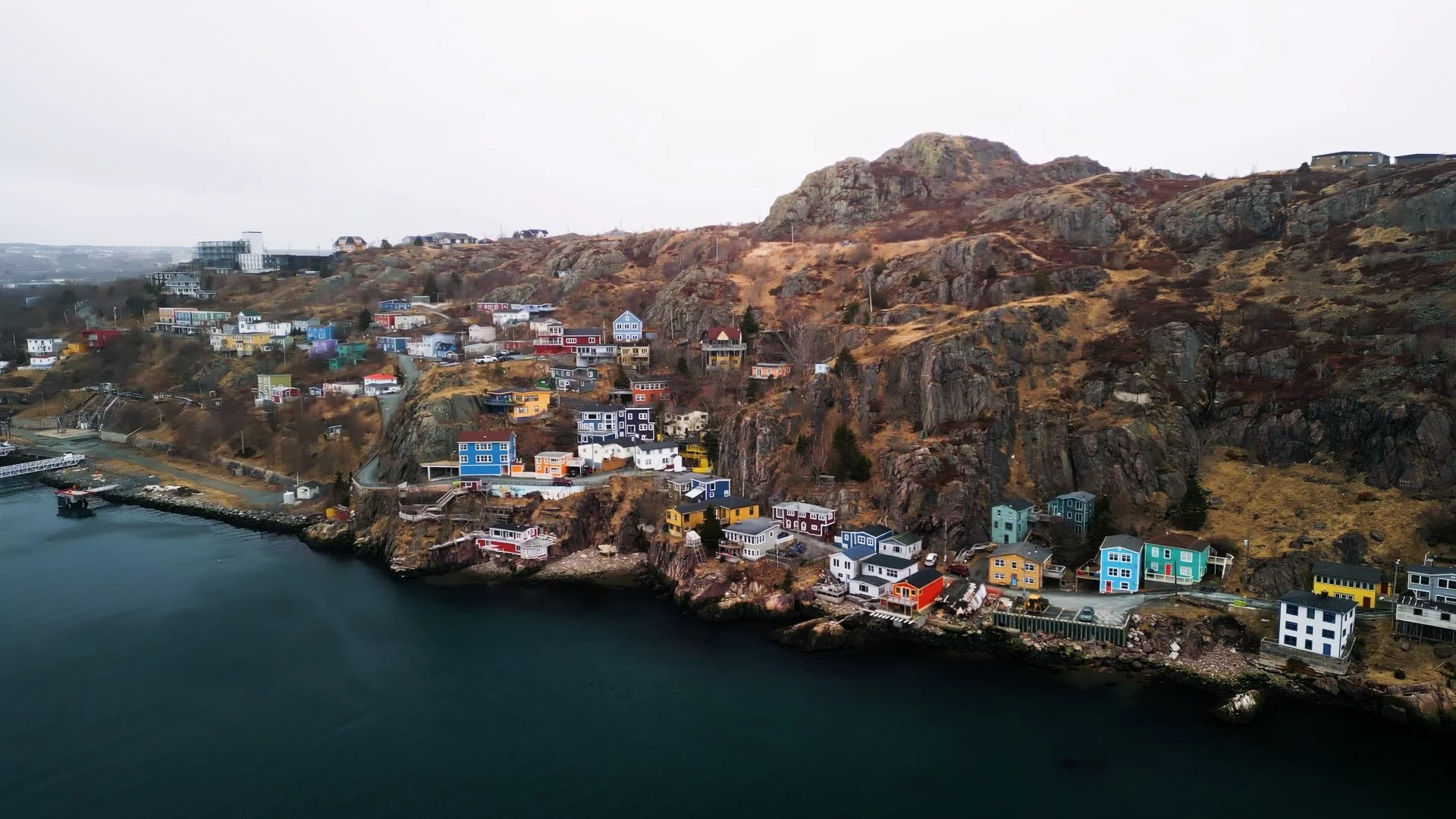 Newfoundland 4k