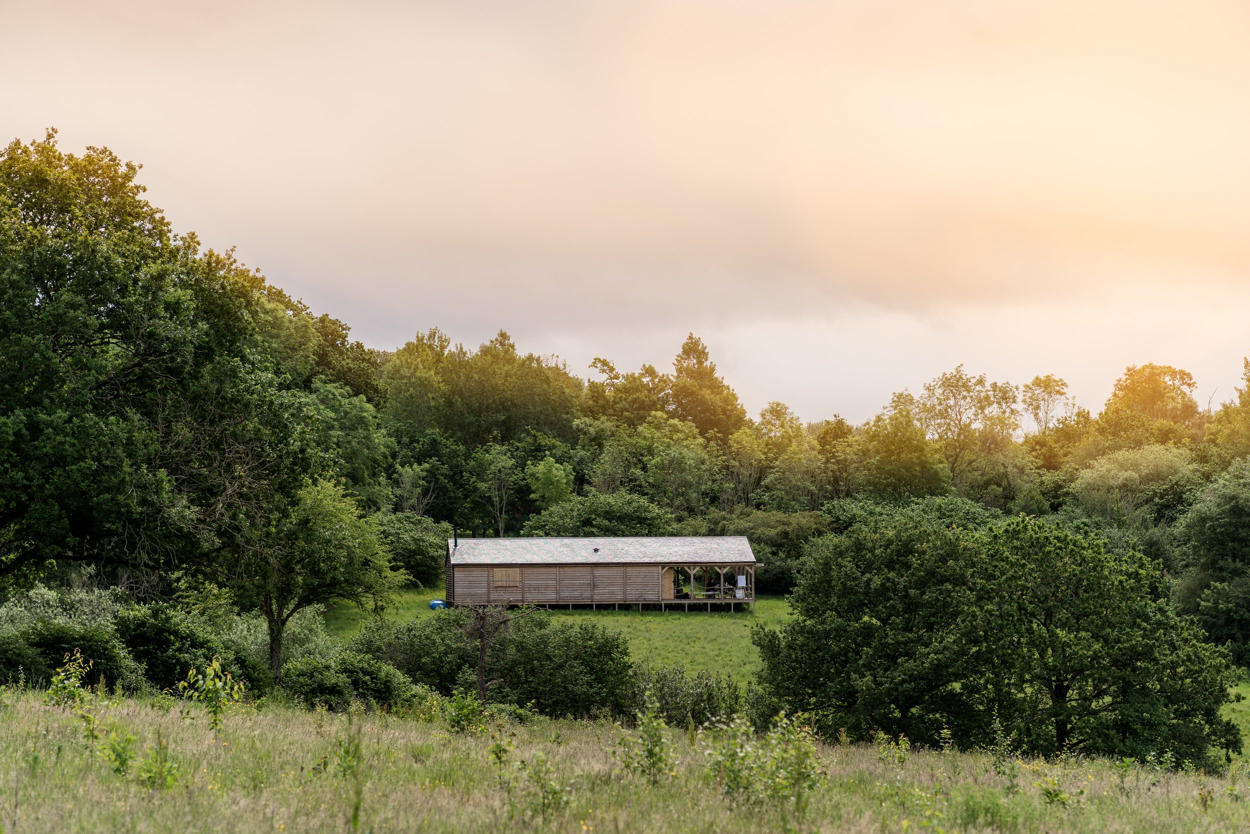 Capturing Growth, Nature and Culture at Viper Innovations’ Woodland CSR Project