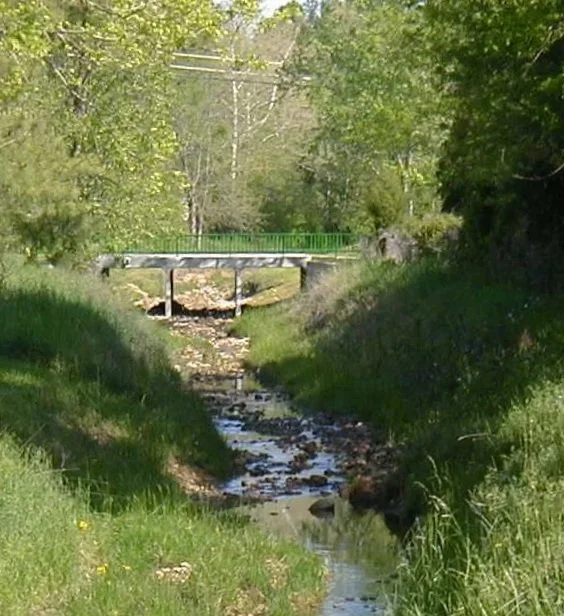 Small creek flowing beneath a green metal bridge in a lush, green forested area with trees and grass on either side.