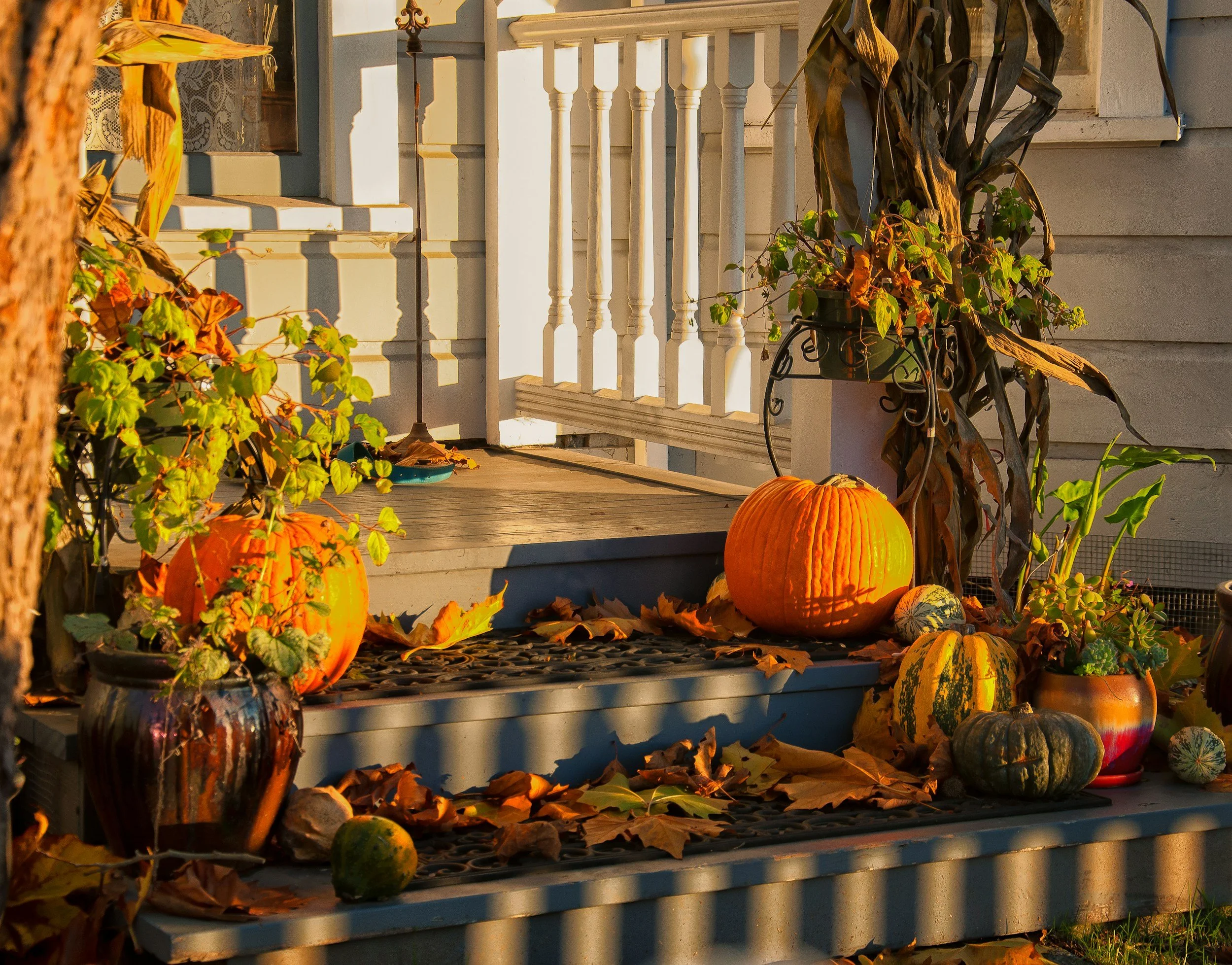 Top Ways to Get Your Home Ready for Fall: A Cozy & Practical Guide