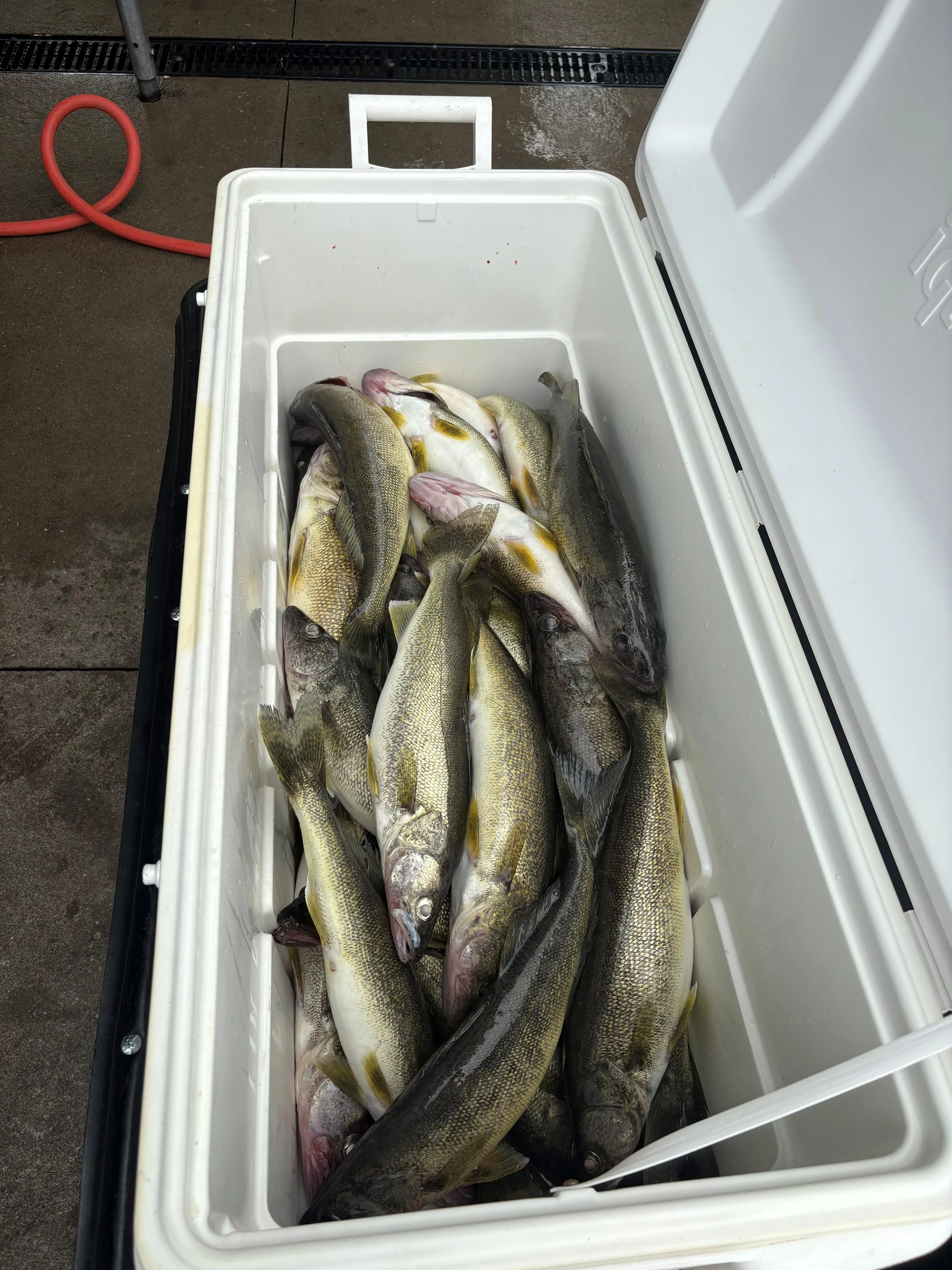 july 26 2025 charter Mike Heckathorne.2.jpg