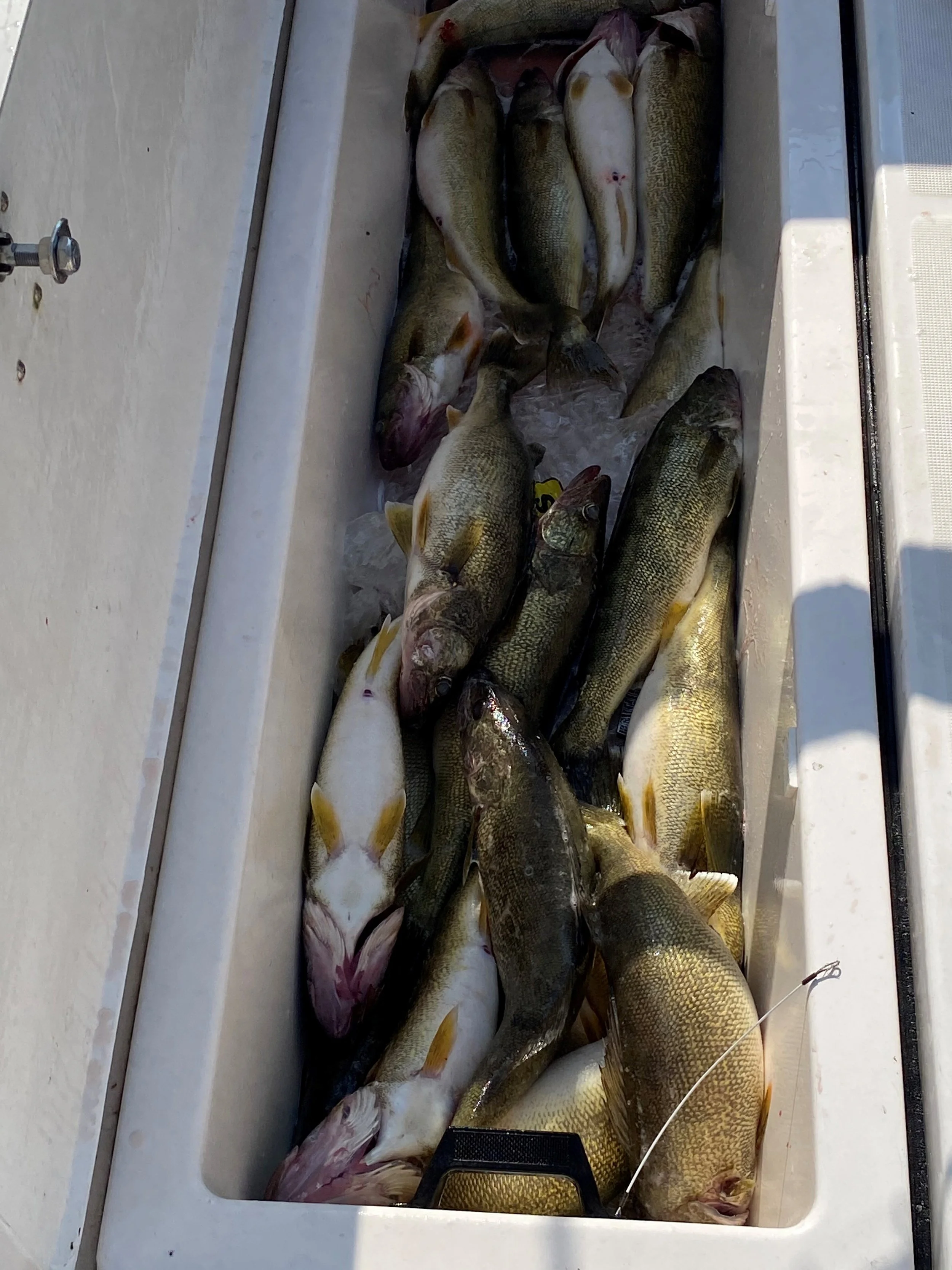 charter photo 18.jpg