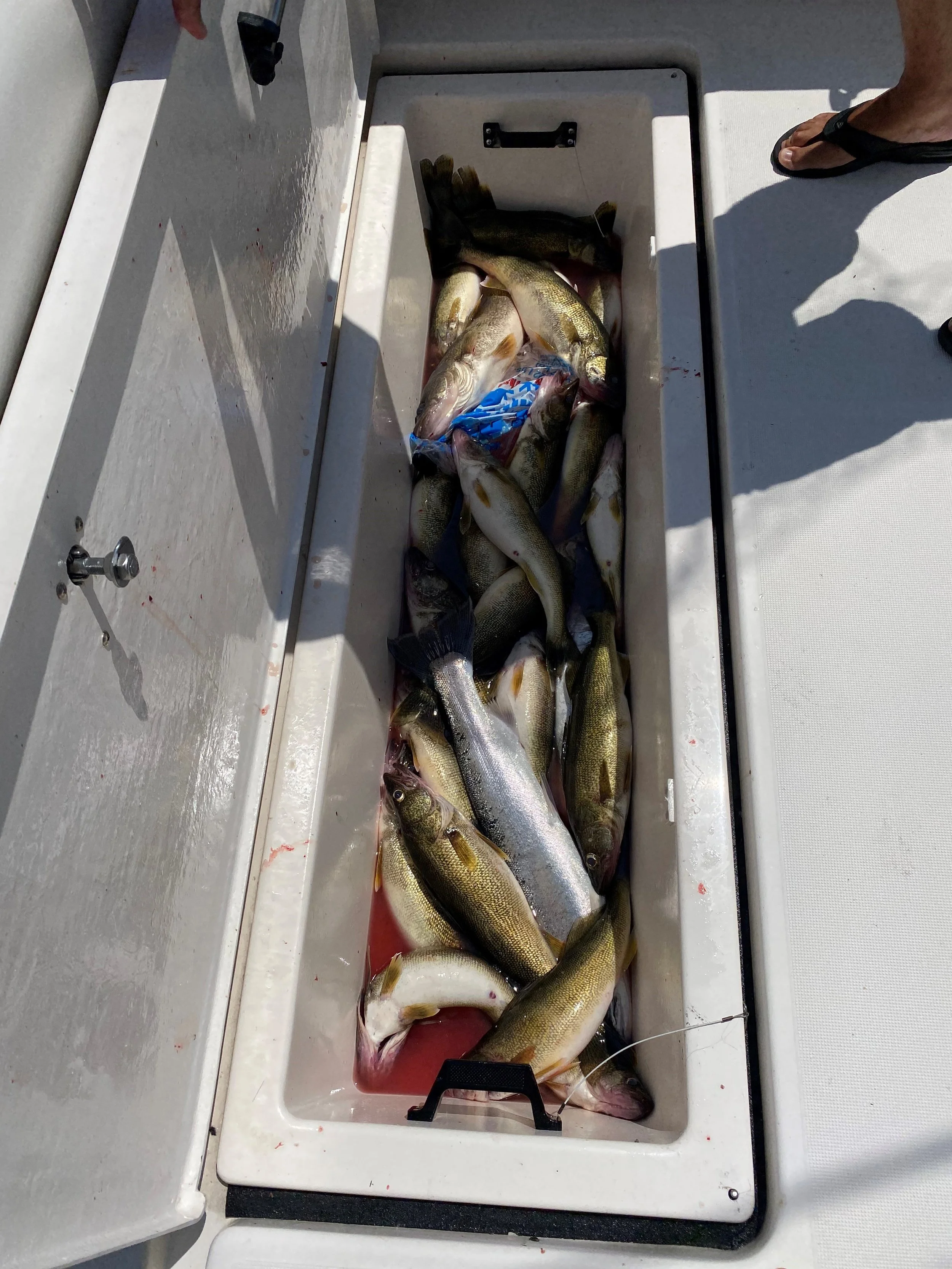 charter photo 19.jpg