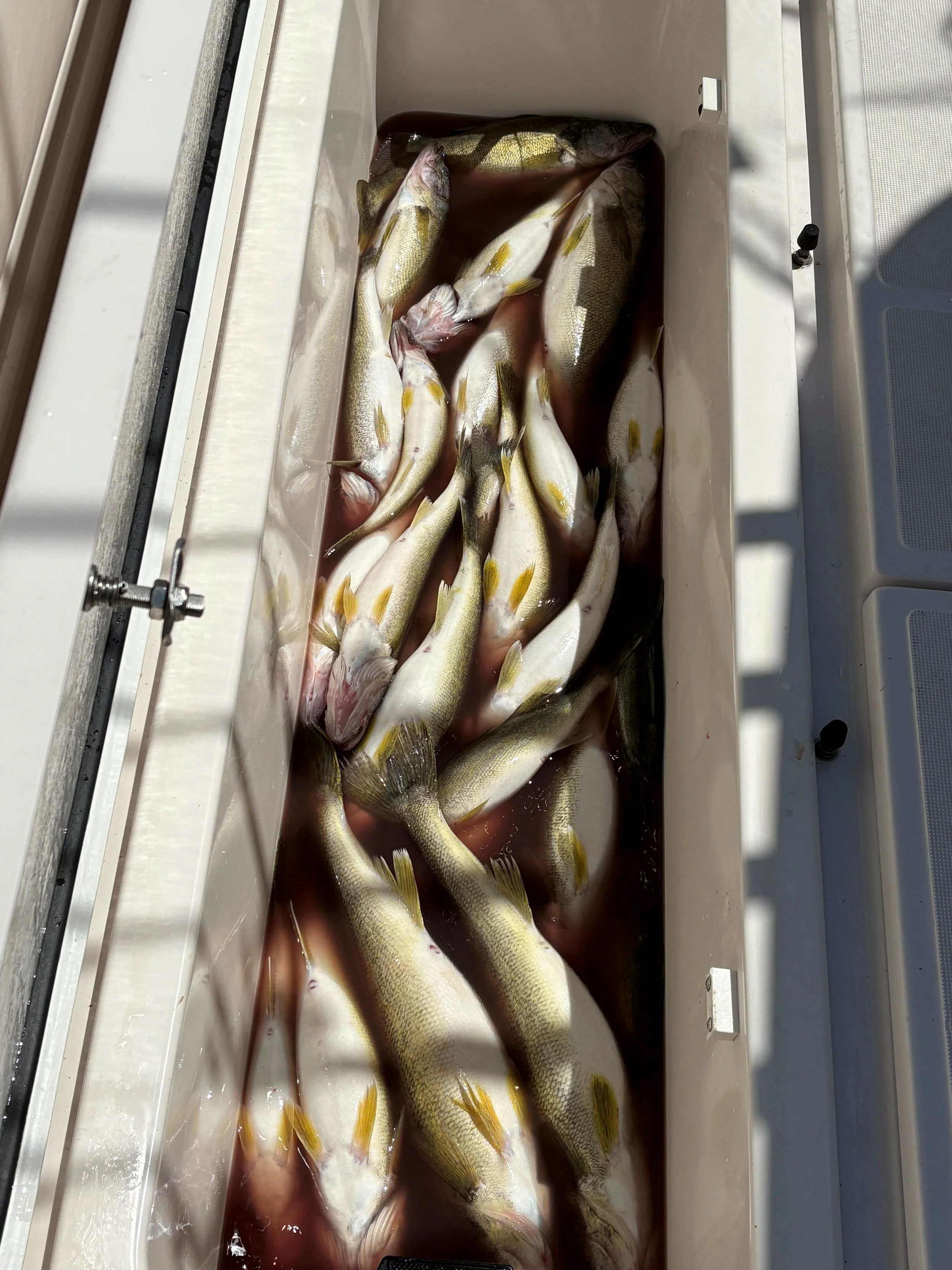 july 18 2025 charter john poole. 2.jpg