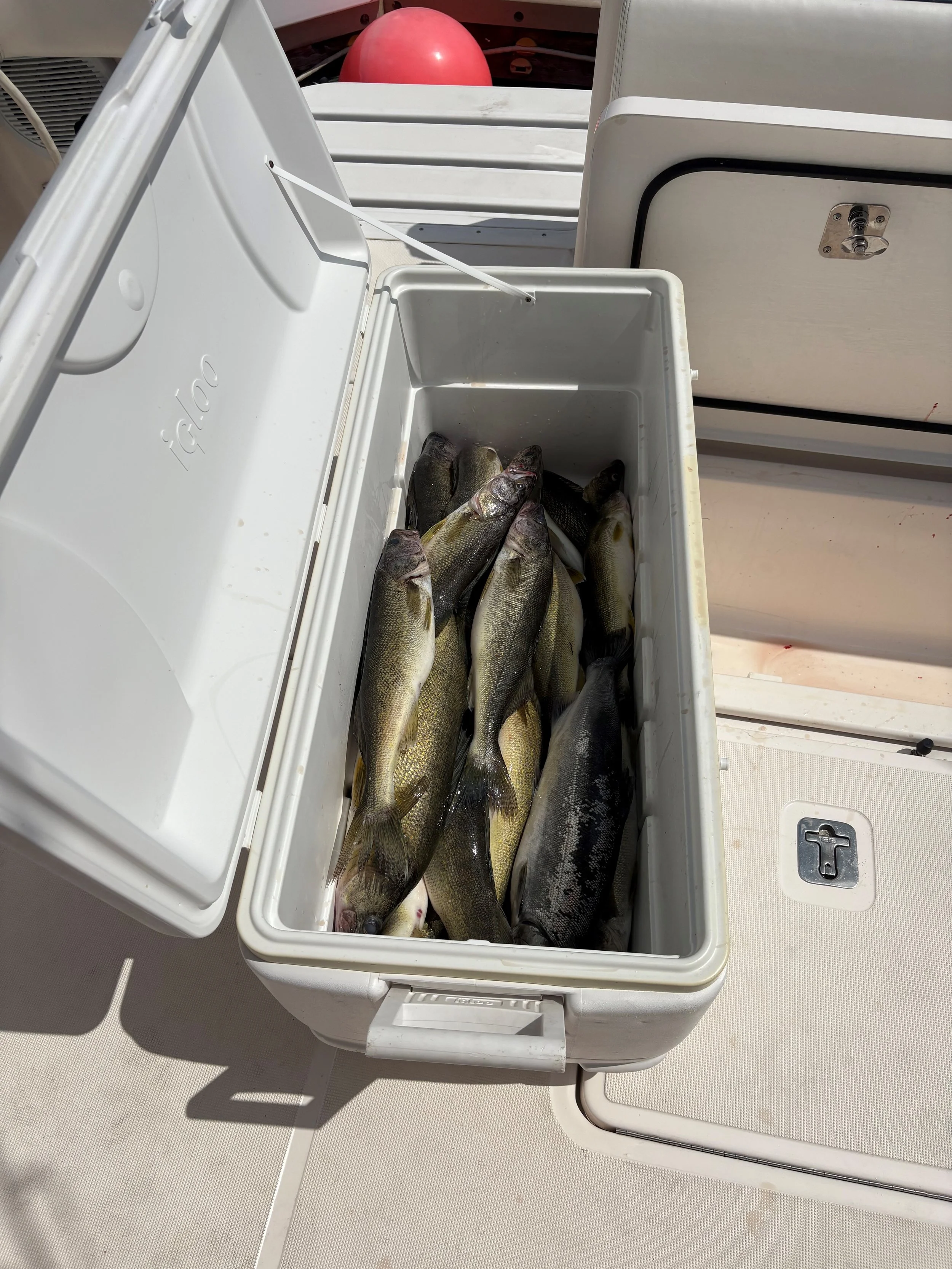 spencer charter3.jpg