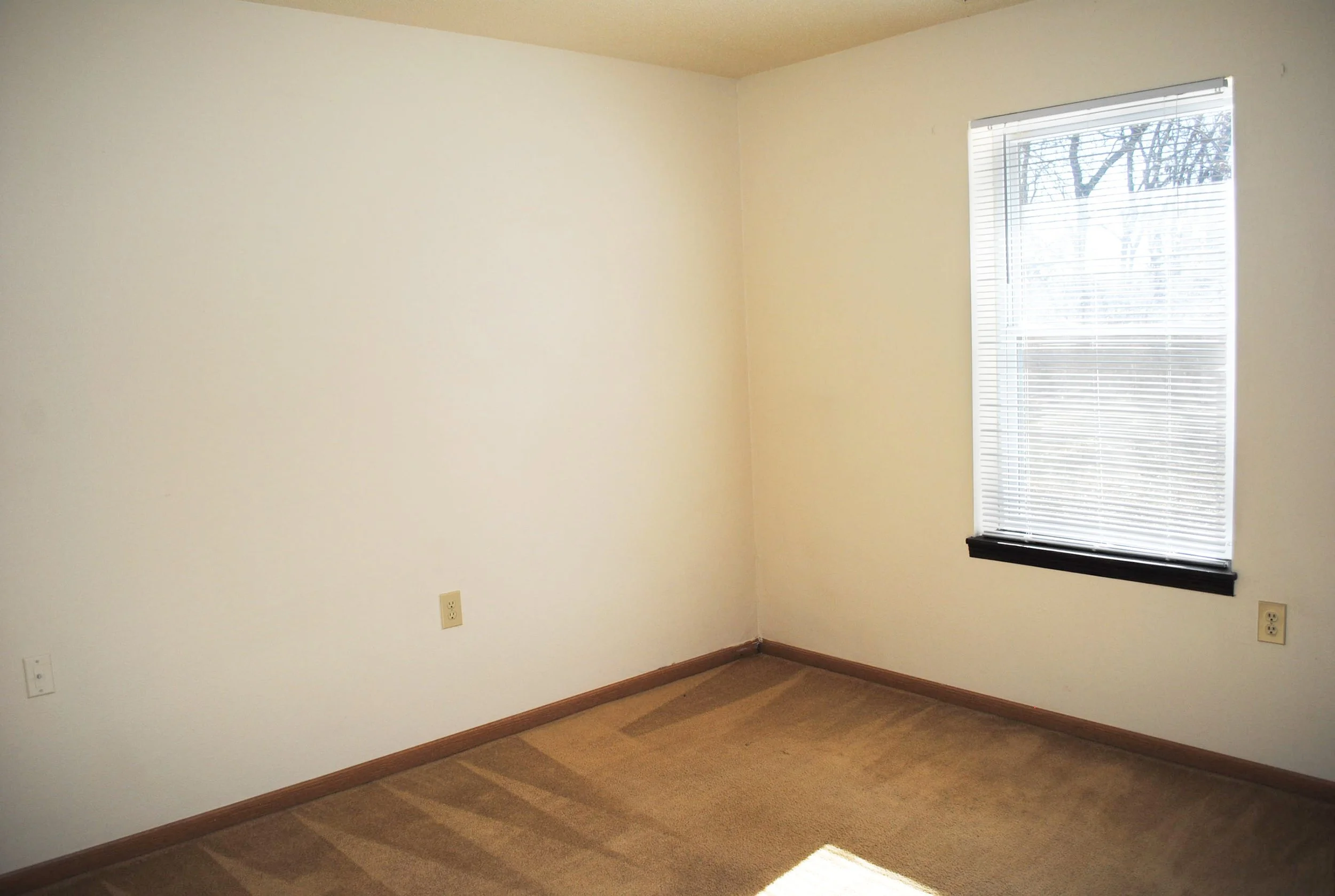 Pioneer Woods - King Ave Inside - Second Bedroom 2.JPG