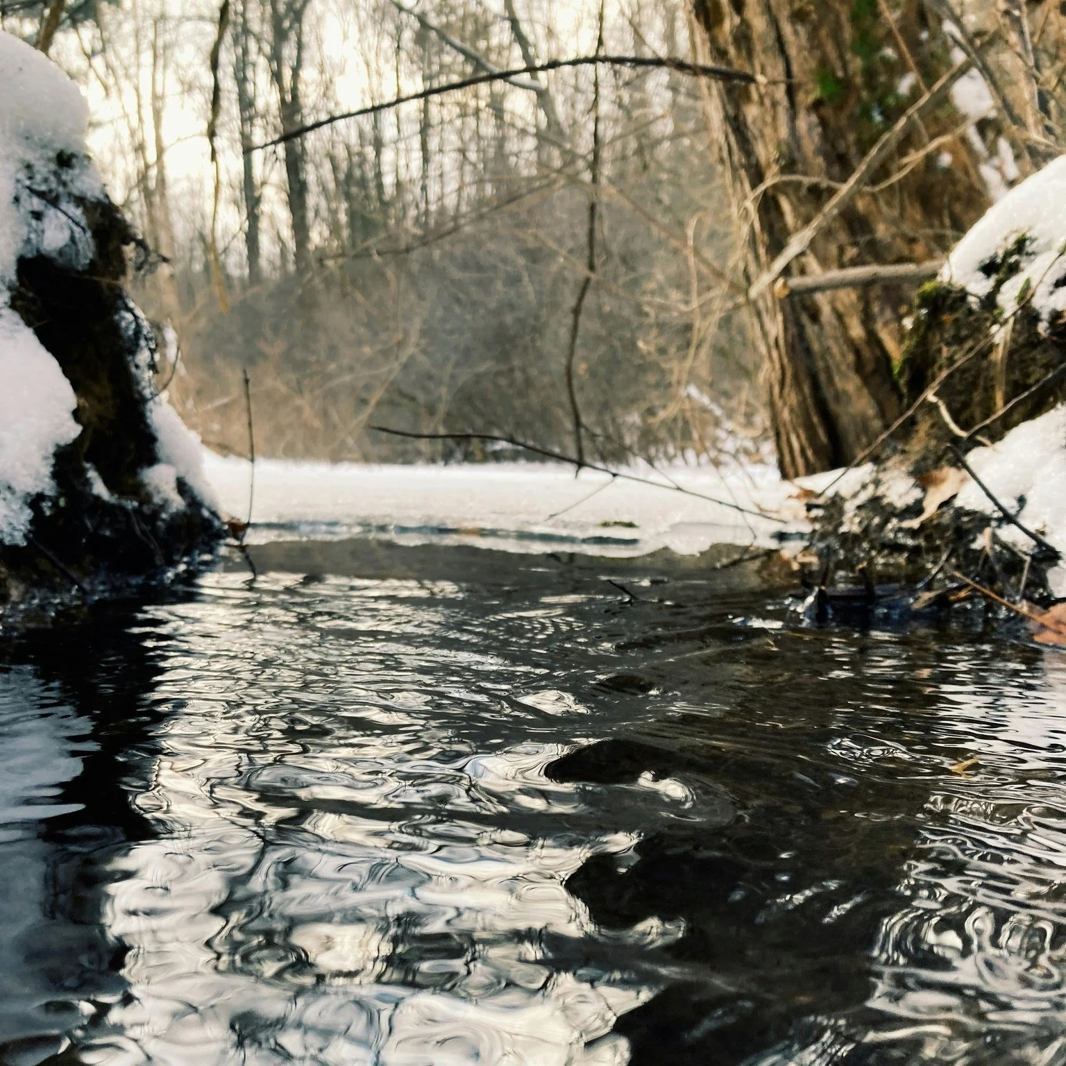 Oh, give me a BREAK!!!!

&mdash; our collective inner voice every January 😅

So we did.

At our Women&rsquo;s Restorative Winter Retreat, we&rsquo;re serving up a full weekend of:
✅ doing less
✅ cozying more
✅ and letting someone else handle the det