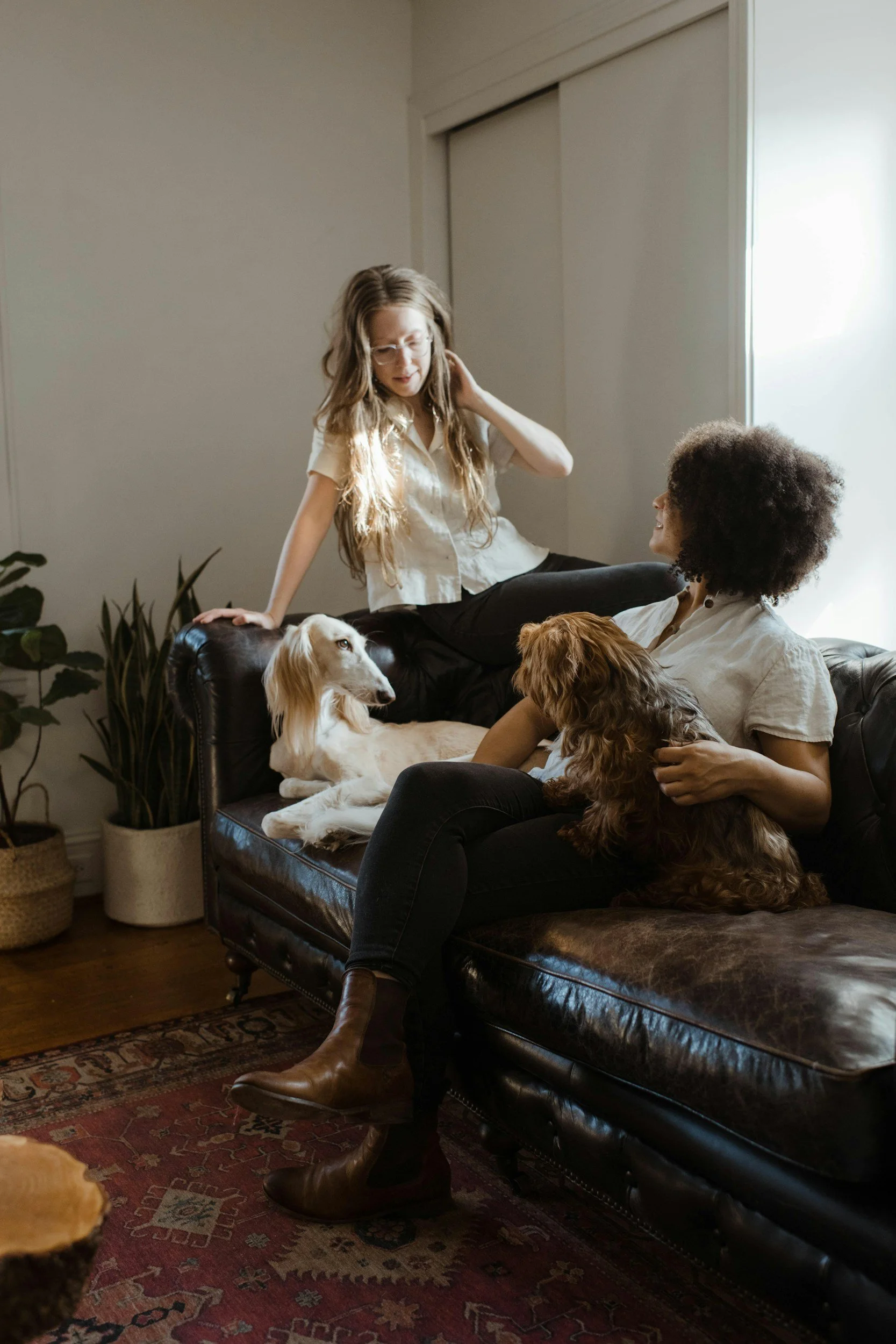 Two women and two dogs relaxing in a living room. One woman with long hair is sitting on a chair, and another with curly hair is laying on a leather sofa holding a small brown dog. The woman on the sofa is looking at the woman standing nearby, who is adjusting her hair.