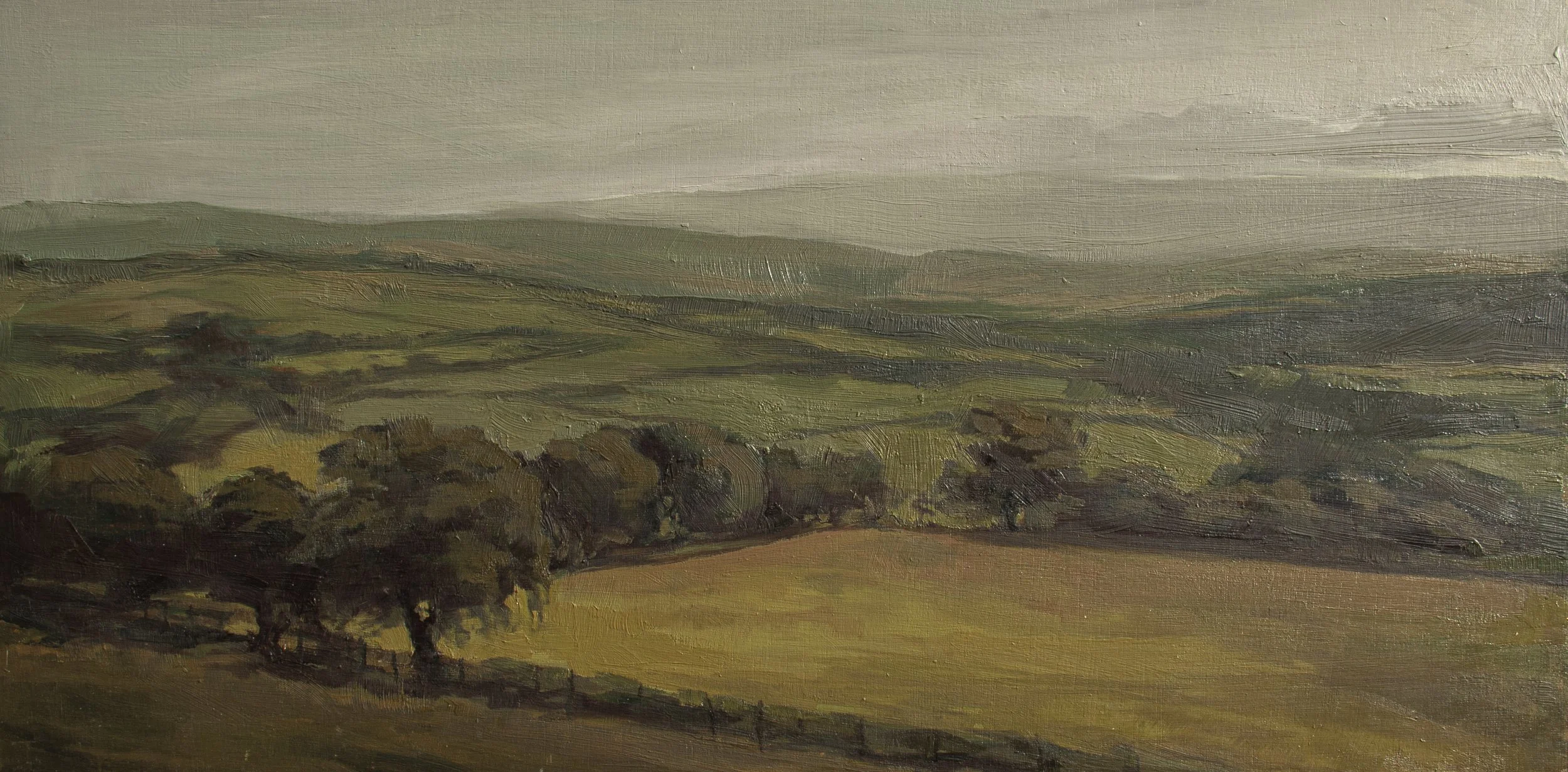 Cantref 2024.jpg