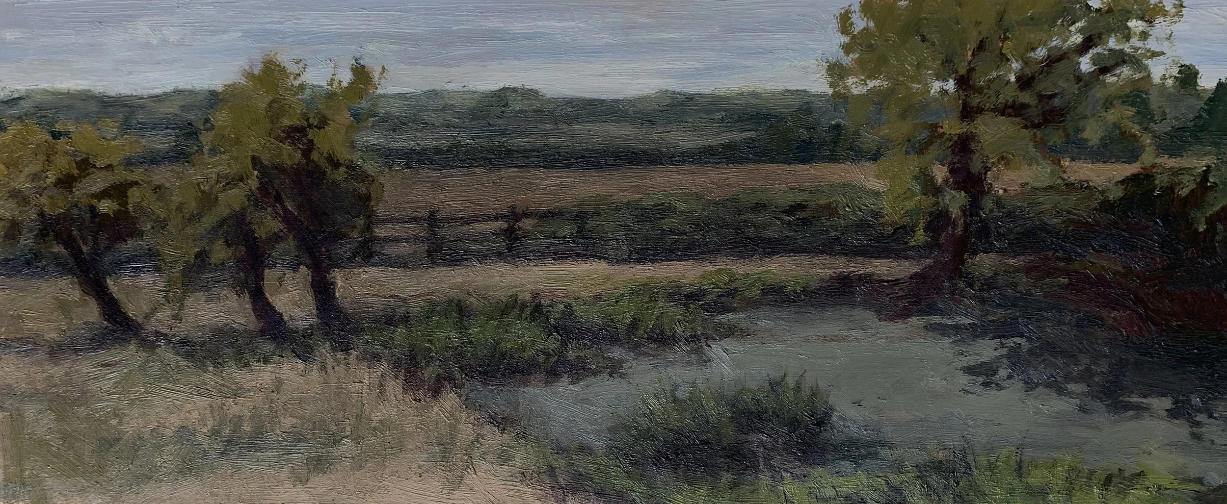 View of the Bottom Pond, 2025