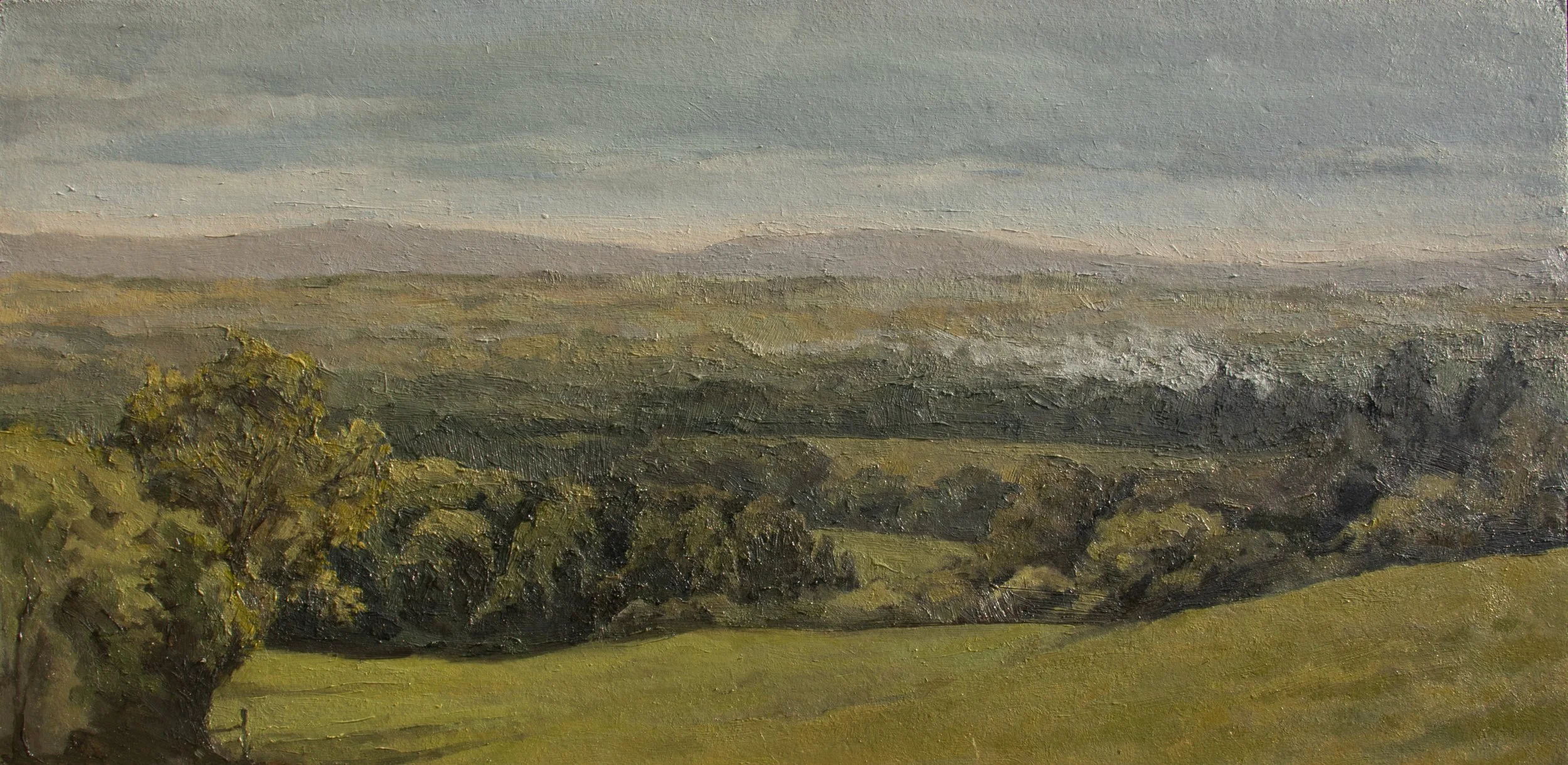 Wealden View, 2025