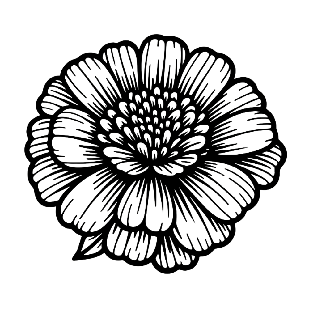 Line drawing of a detailed flower with multiple petals and intricate patterns on a black background.
