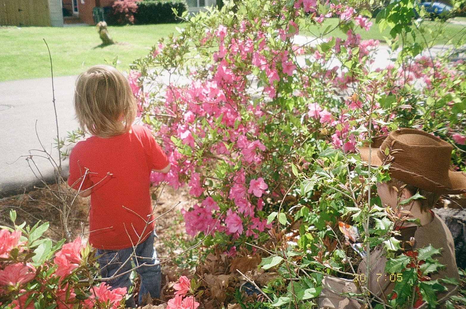 two boys next to a bush, photo by Morgan Stewart, postpartum doula in Richmond, Virginia