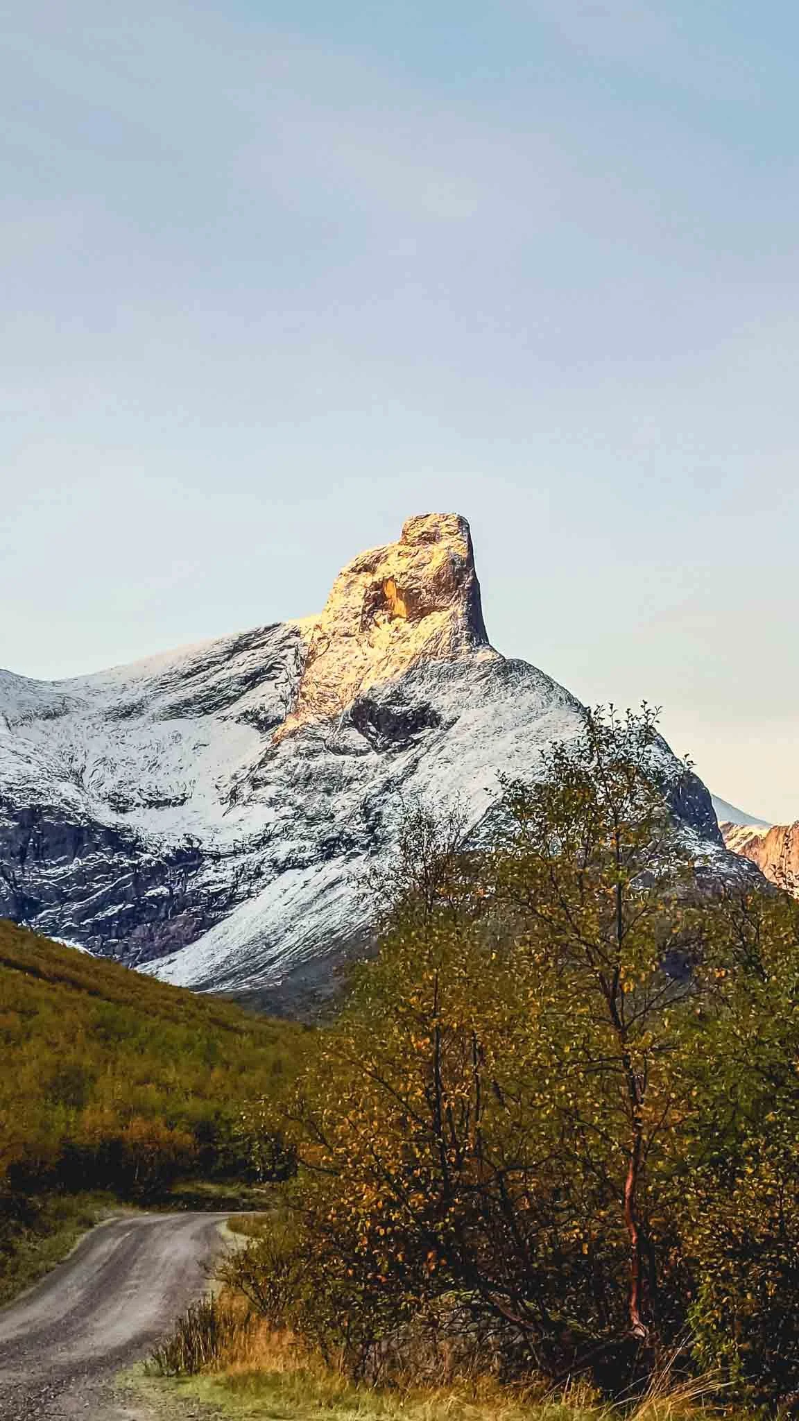 Fjell med snø og en tur da vei i forgrunnen, med busker og trær.